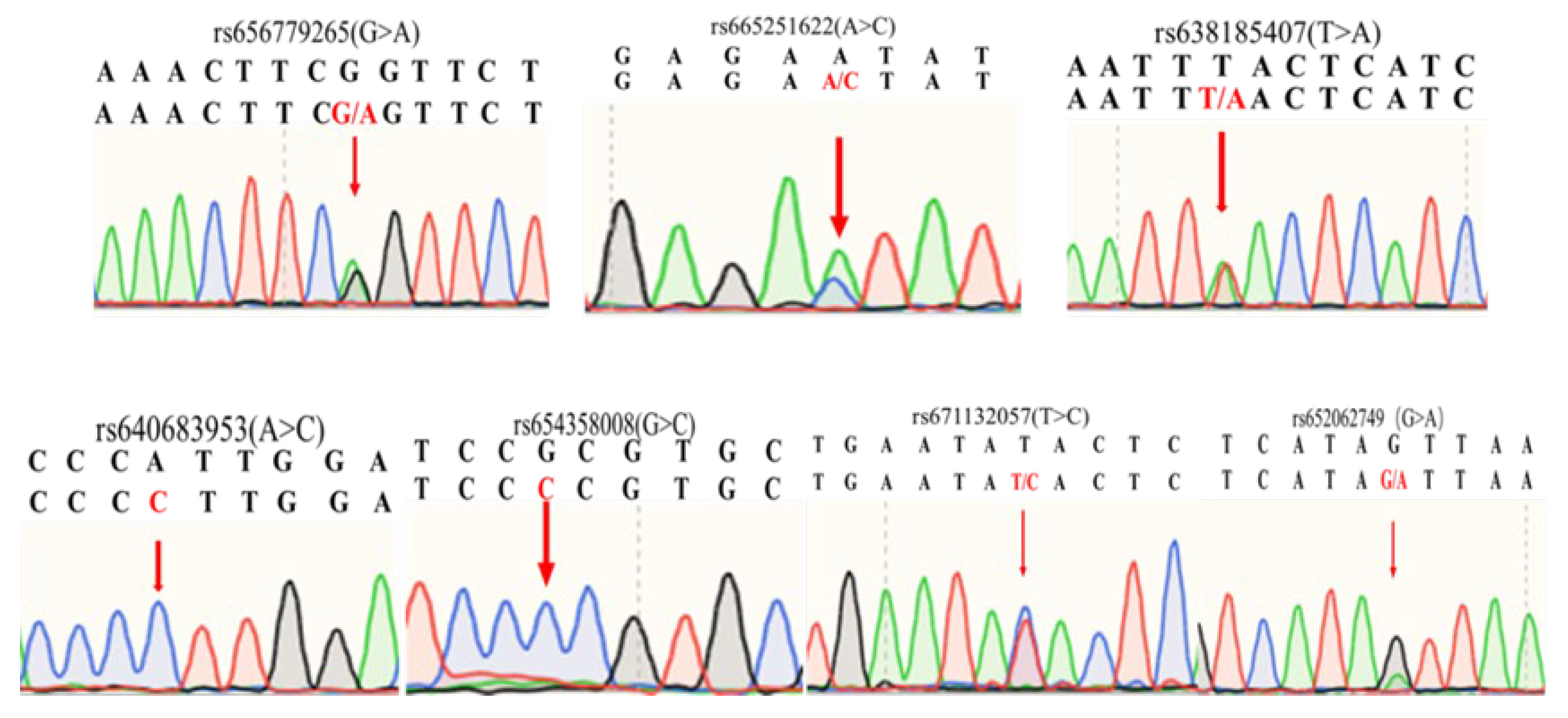 Preprints 109177 g001