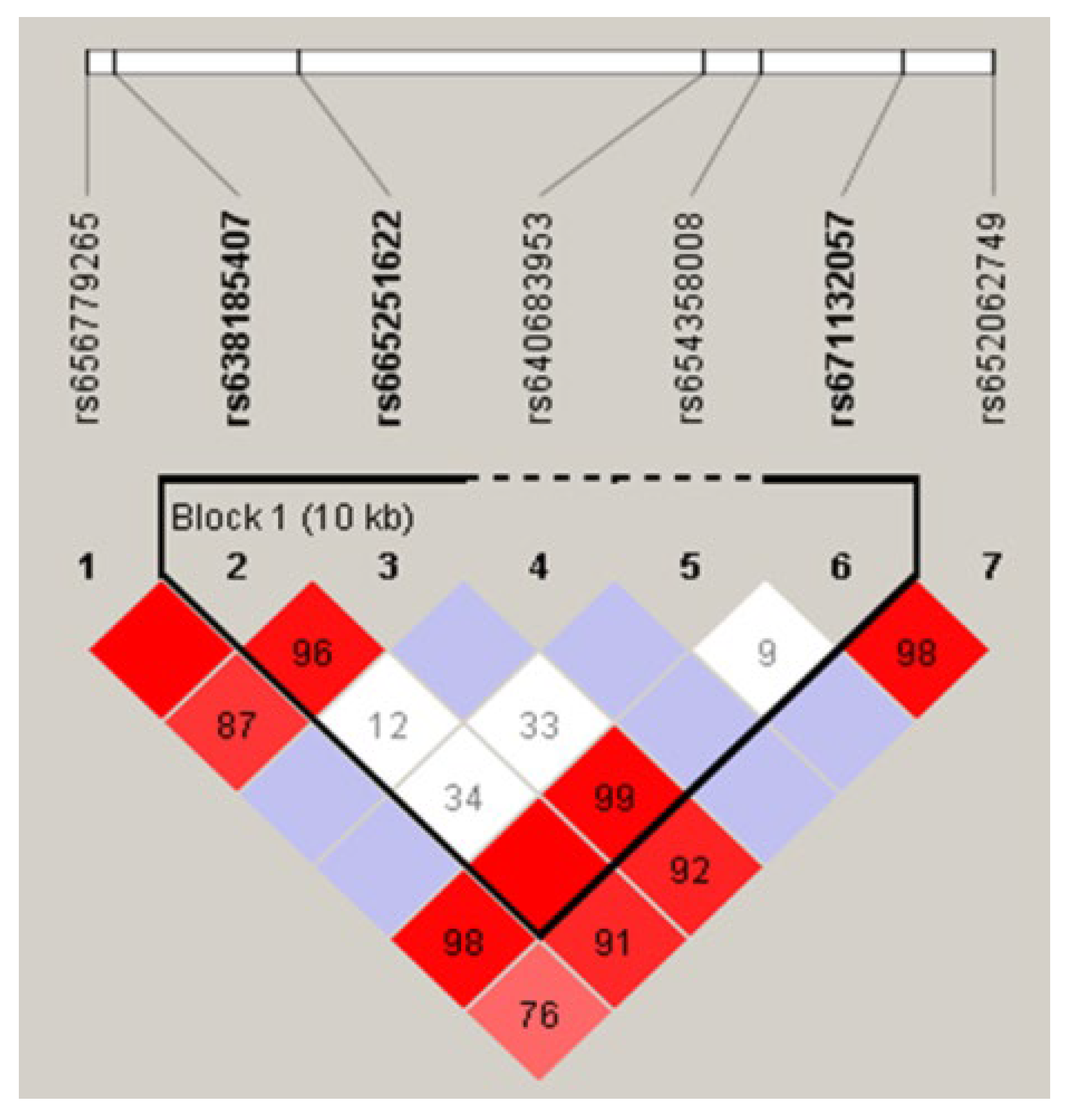 Preprints 109177 g003