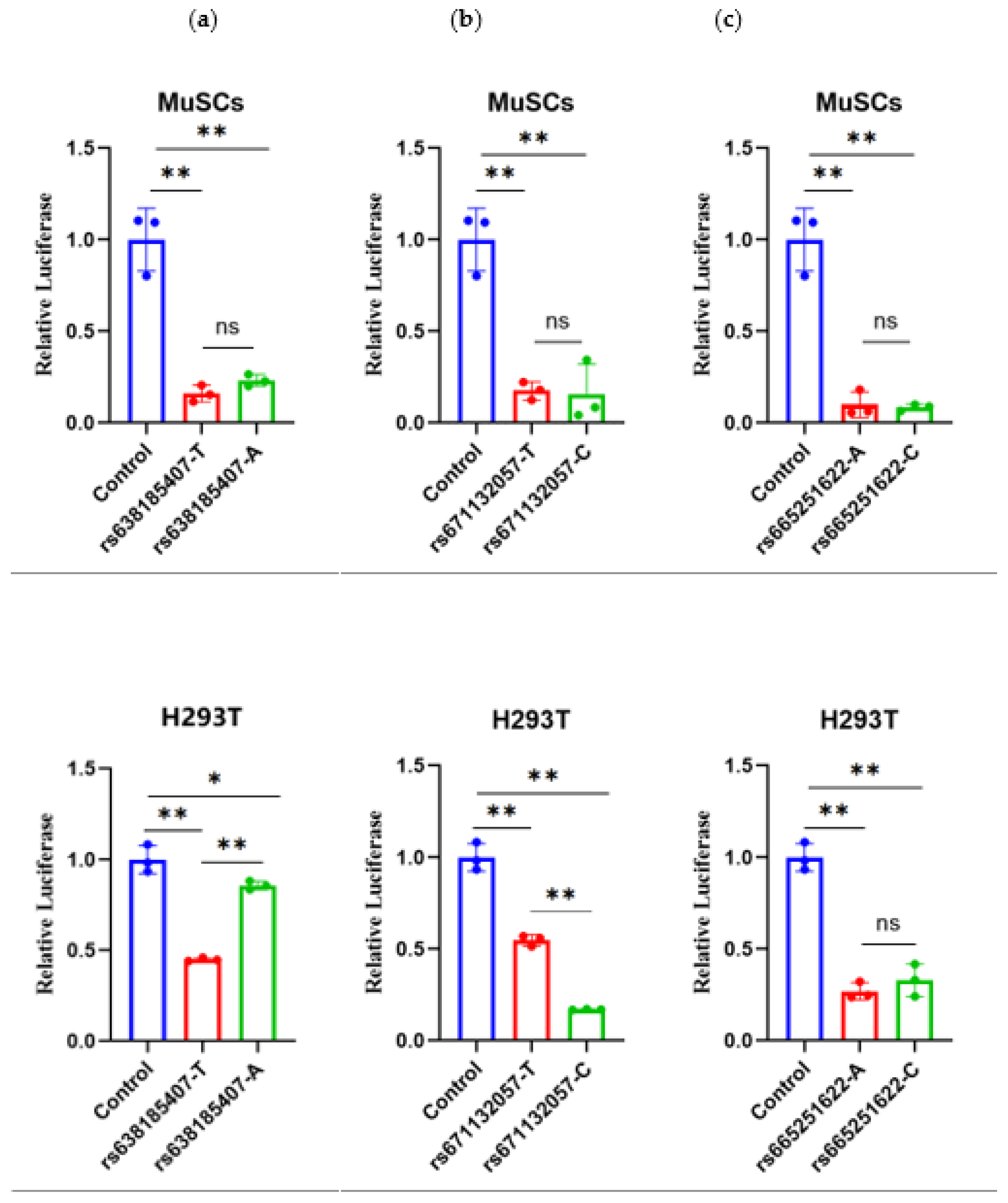 Preprints 109177 g004