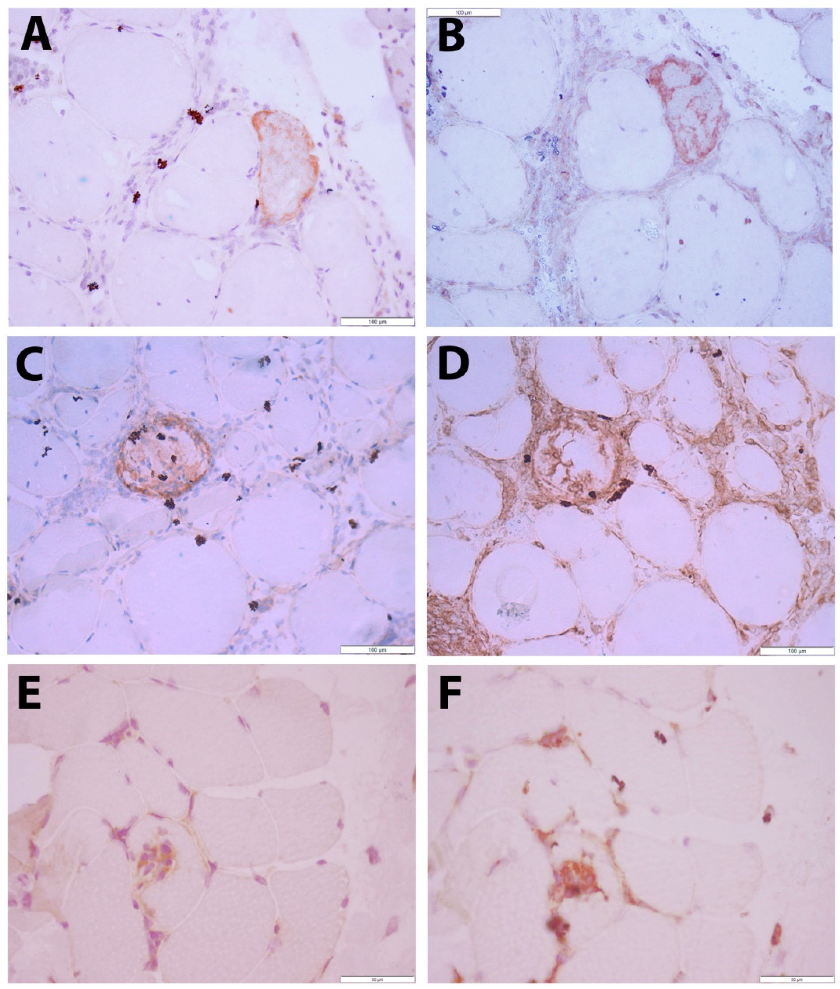 Preprints 84165 g002