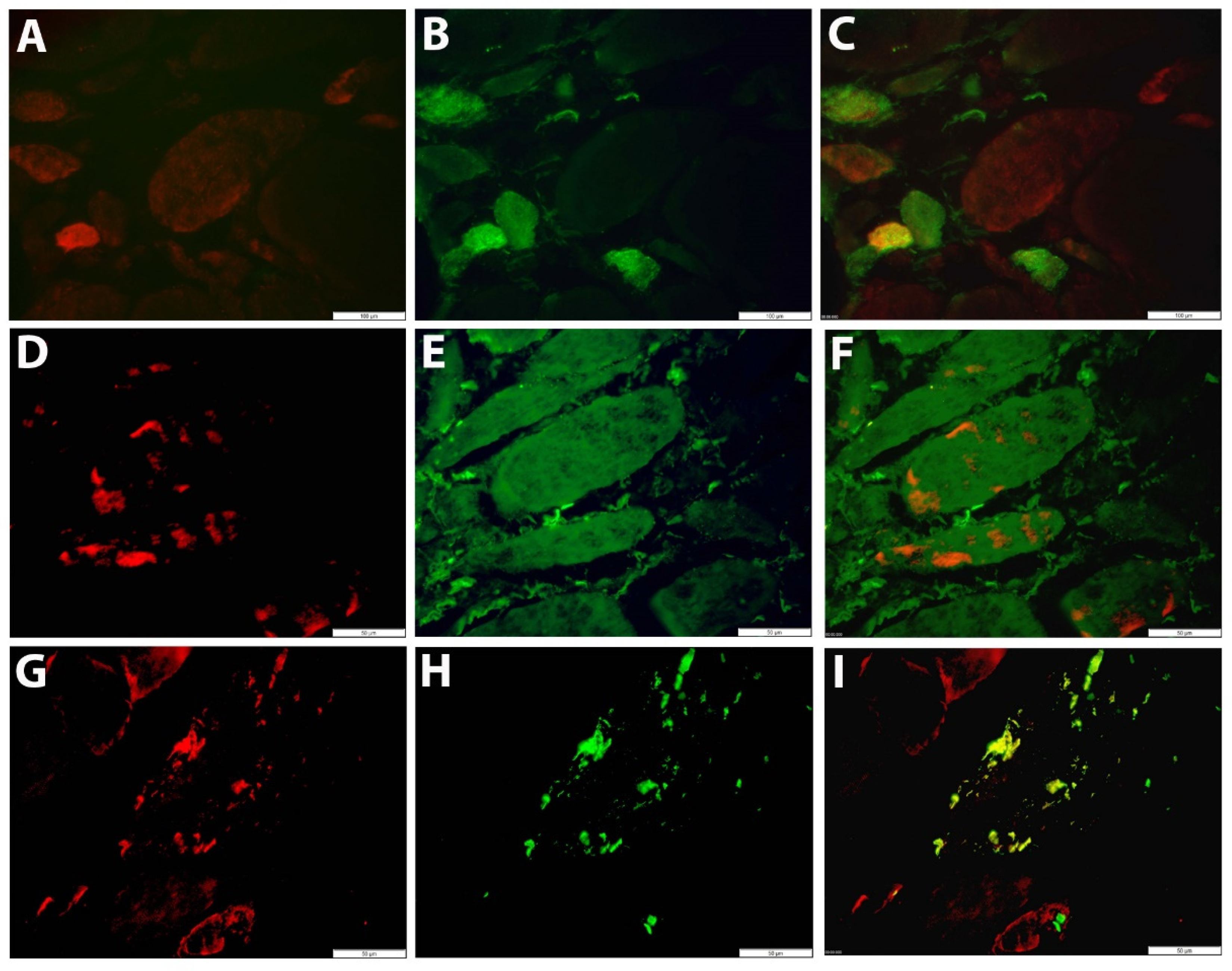 Preprints 84165 g004