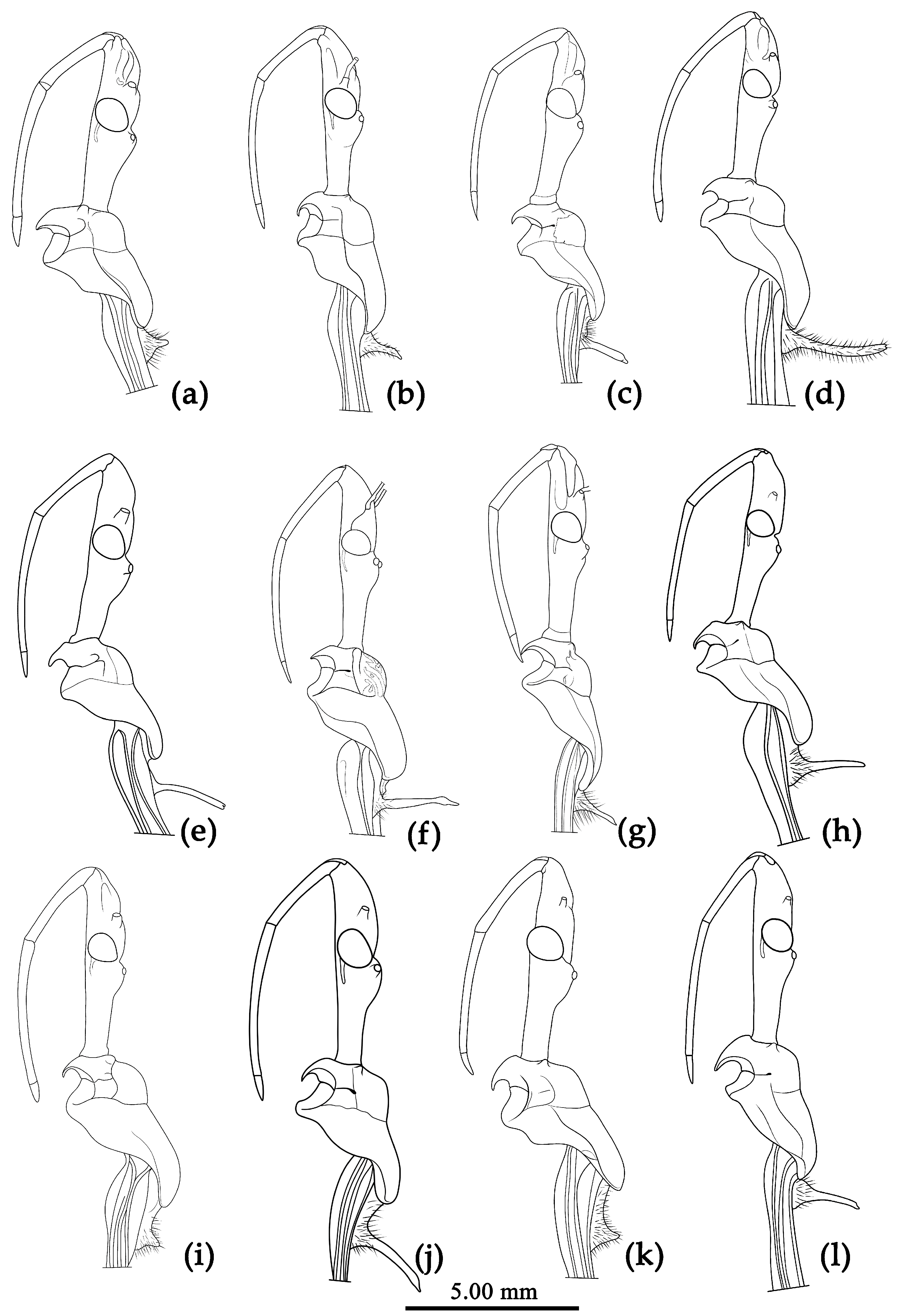 Preprints 83999 g003