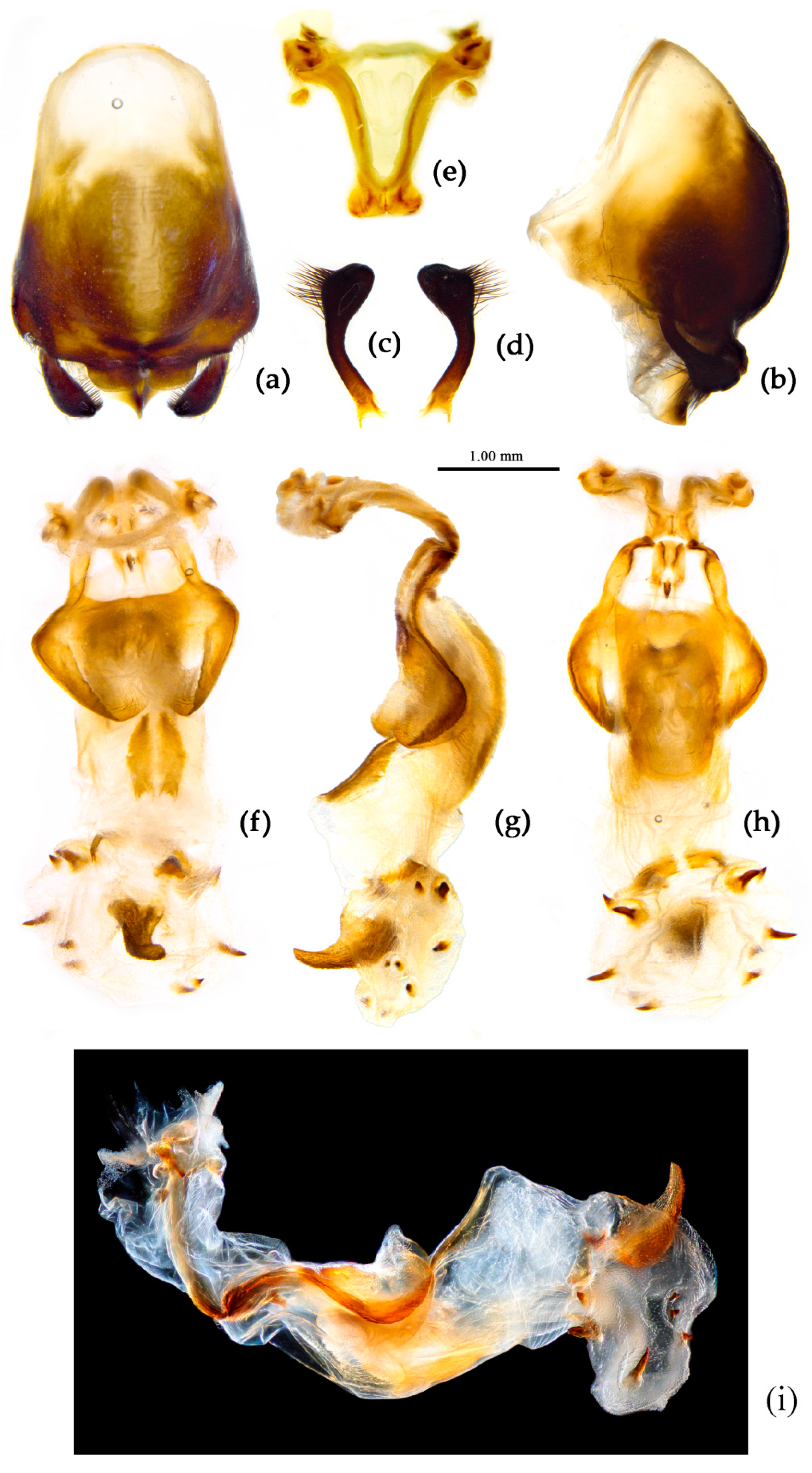 Preprints 83999 g010