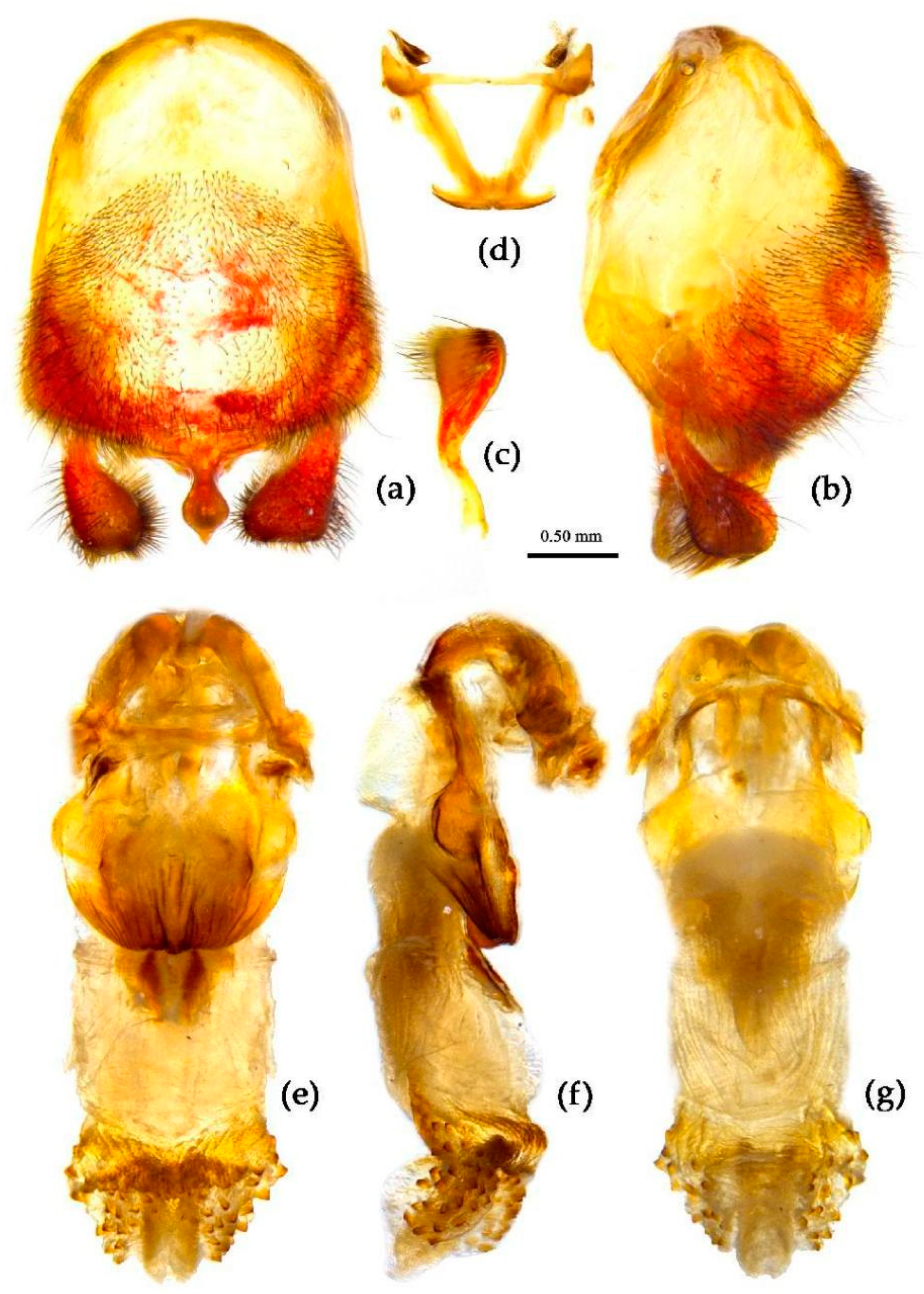 Preprints 83999 g014