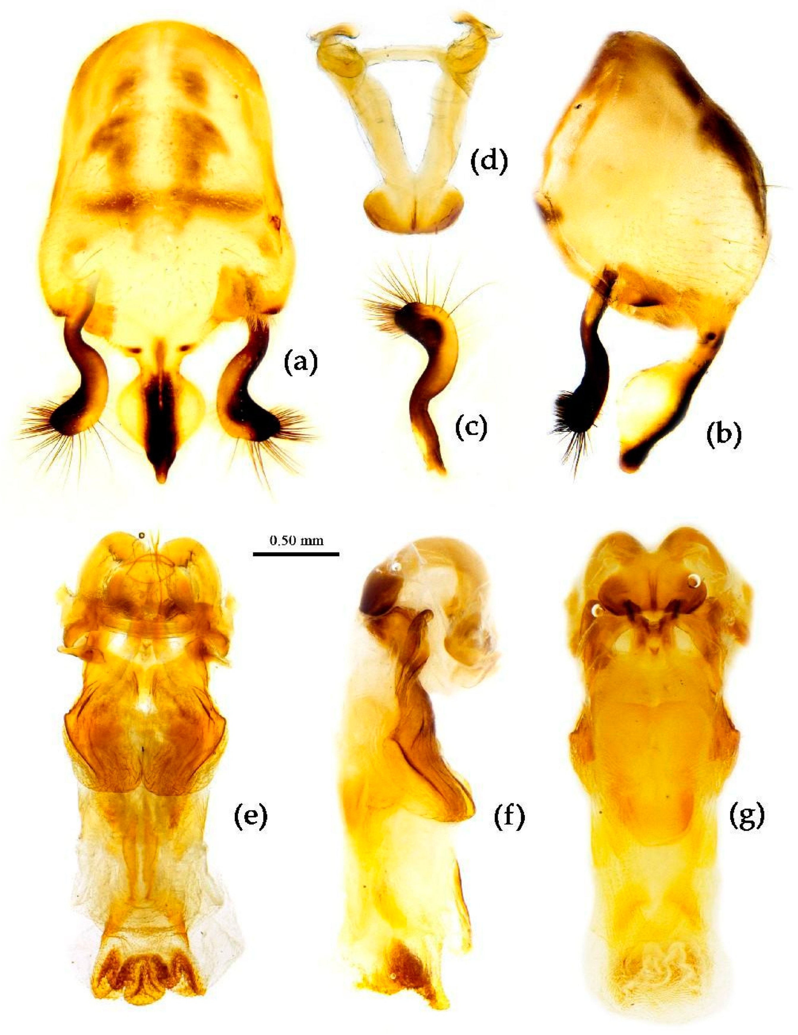 Preprints 83999 g016