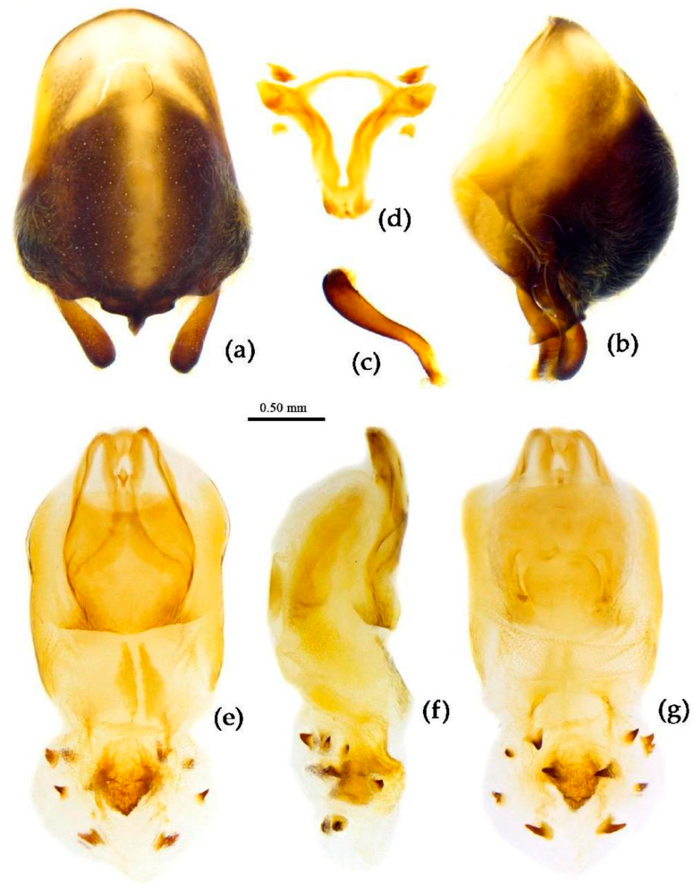 Preprints 83999 g018