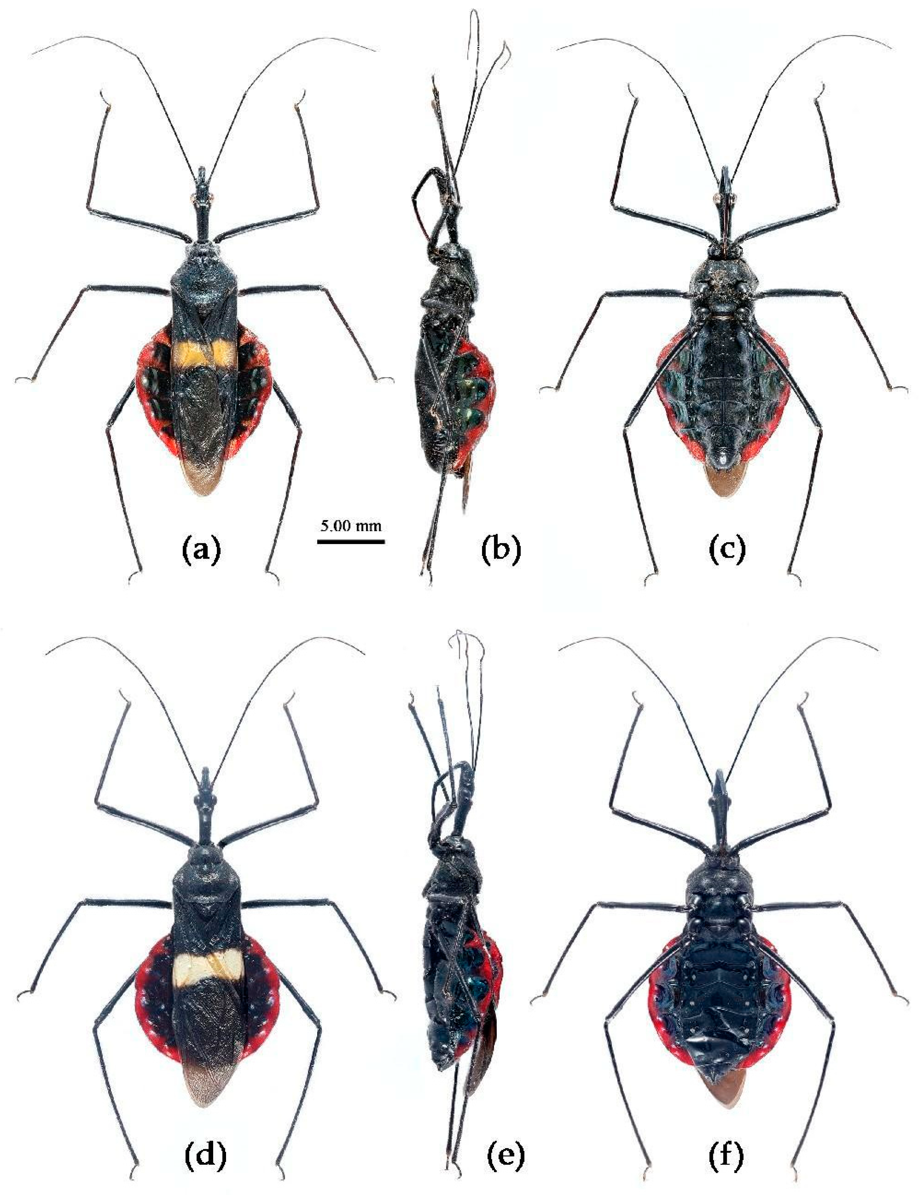 Preprints 83999 g027