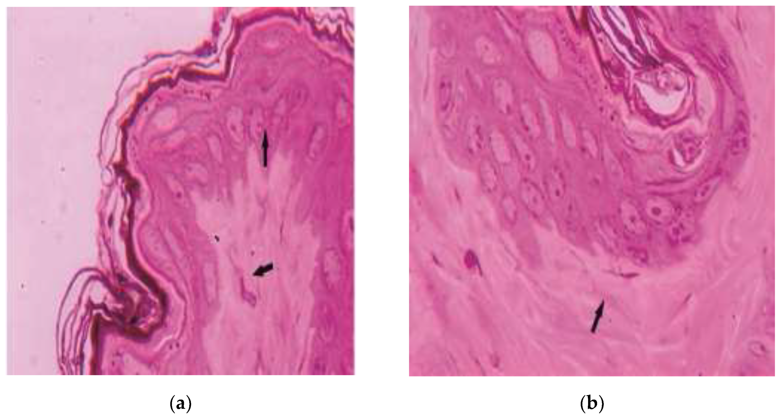 Preprints 77292 g003