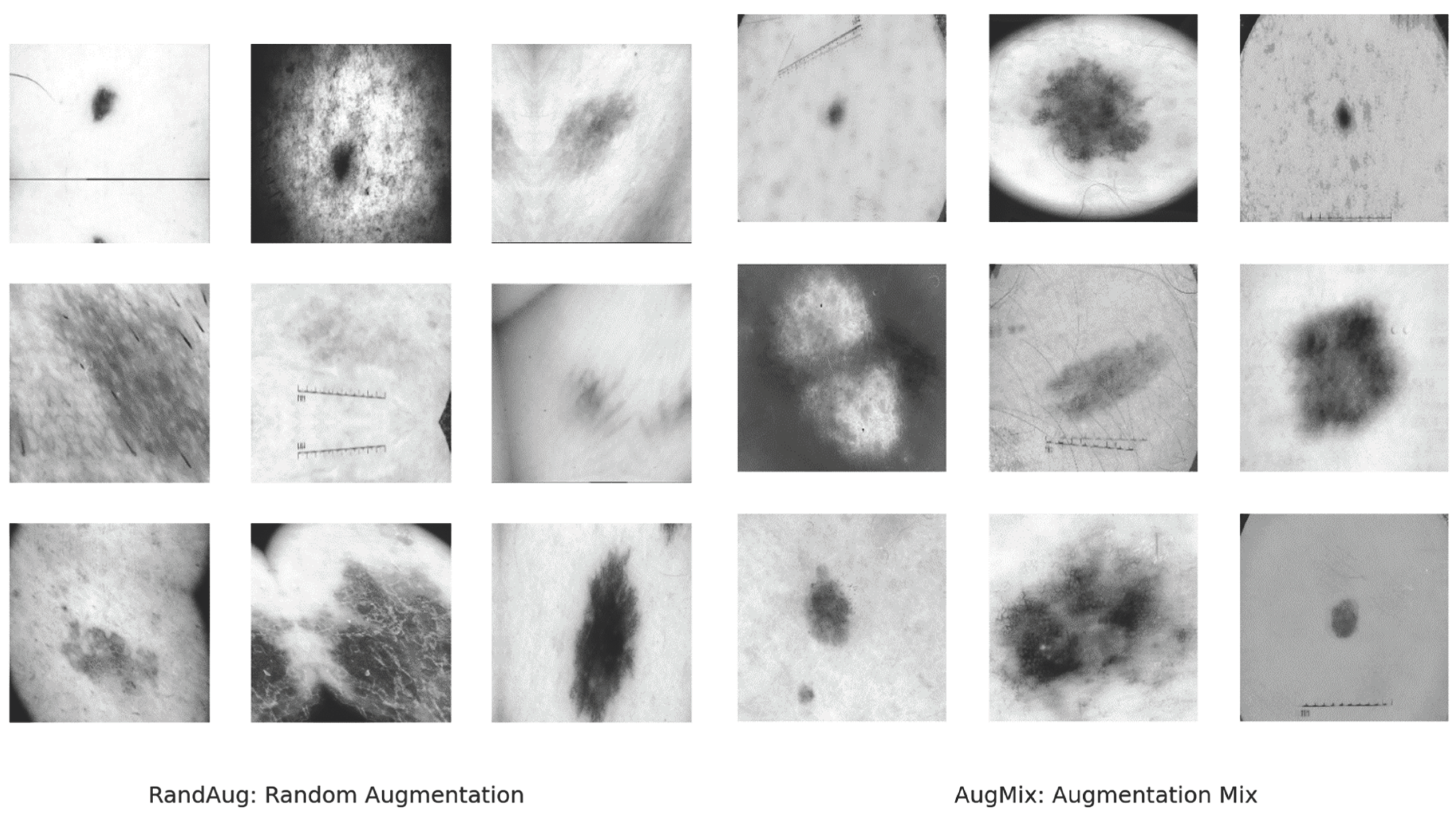 Preprints 100413 g003a