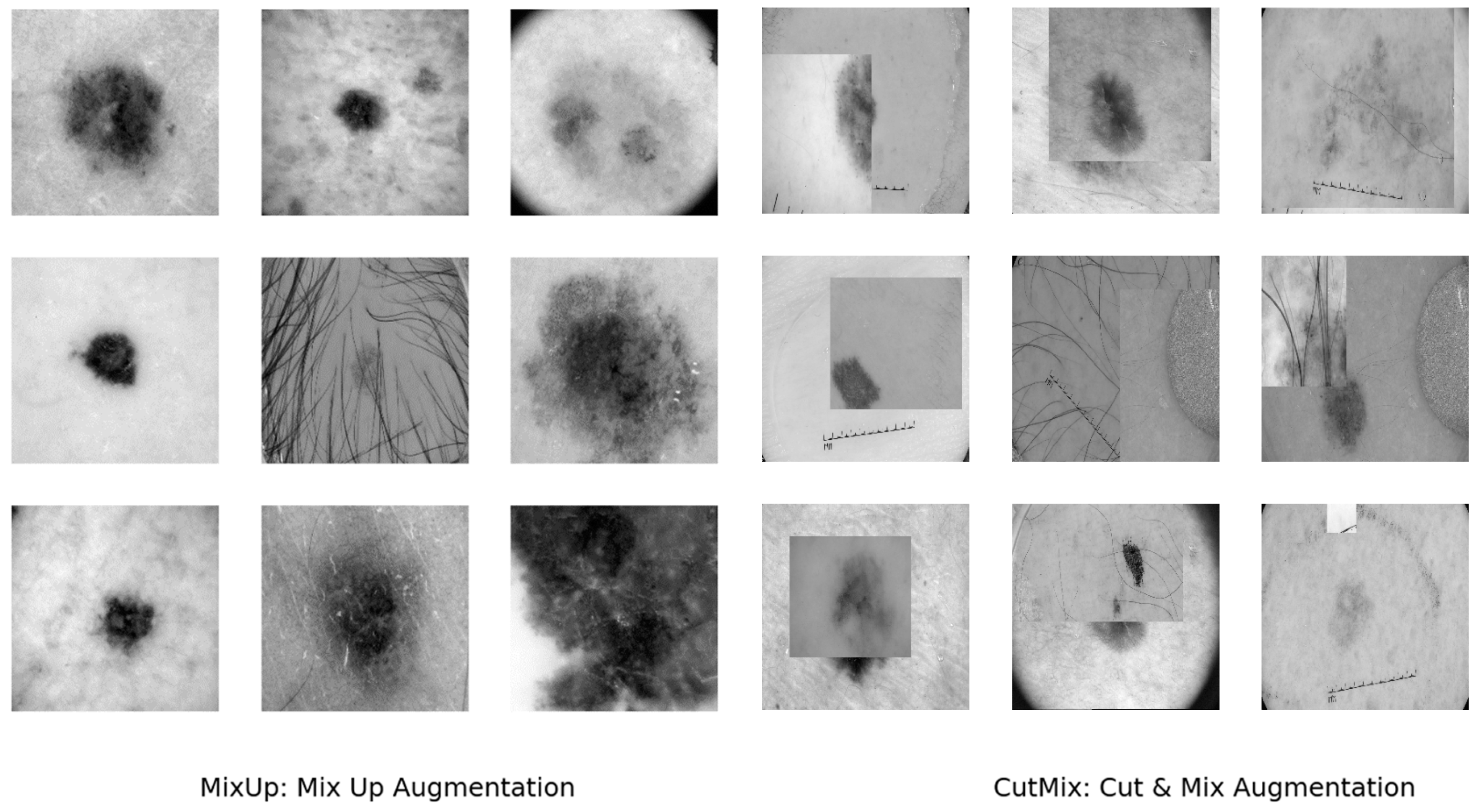 Preprints 100413 g003b