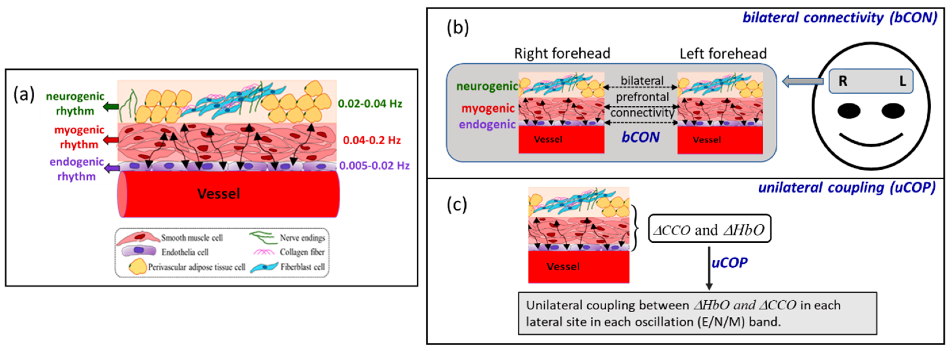 Preprints 83439 g001