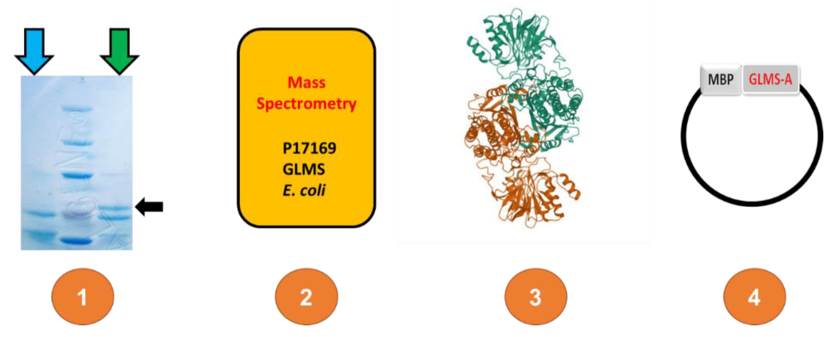 Preprints 109263 g003