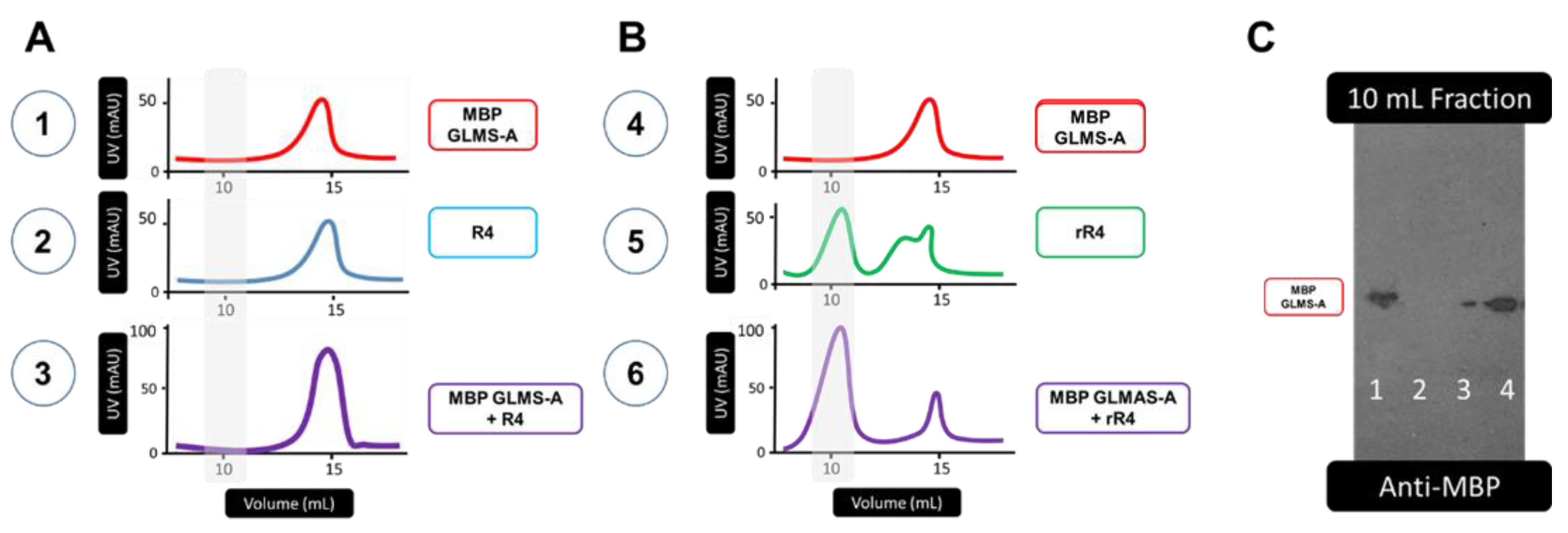 Preprints 109263 g004