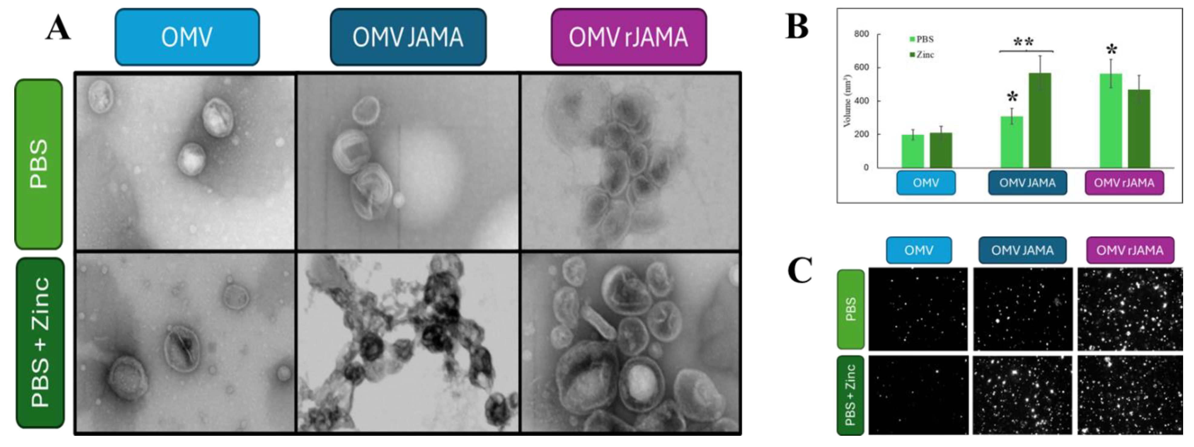 Preprints 109263 g007