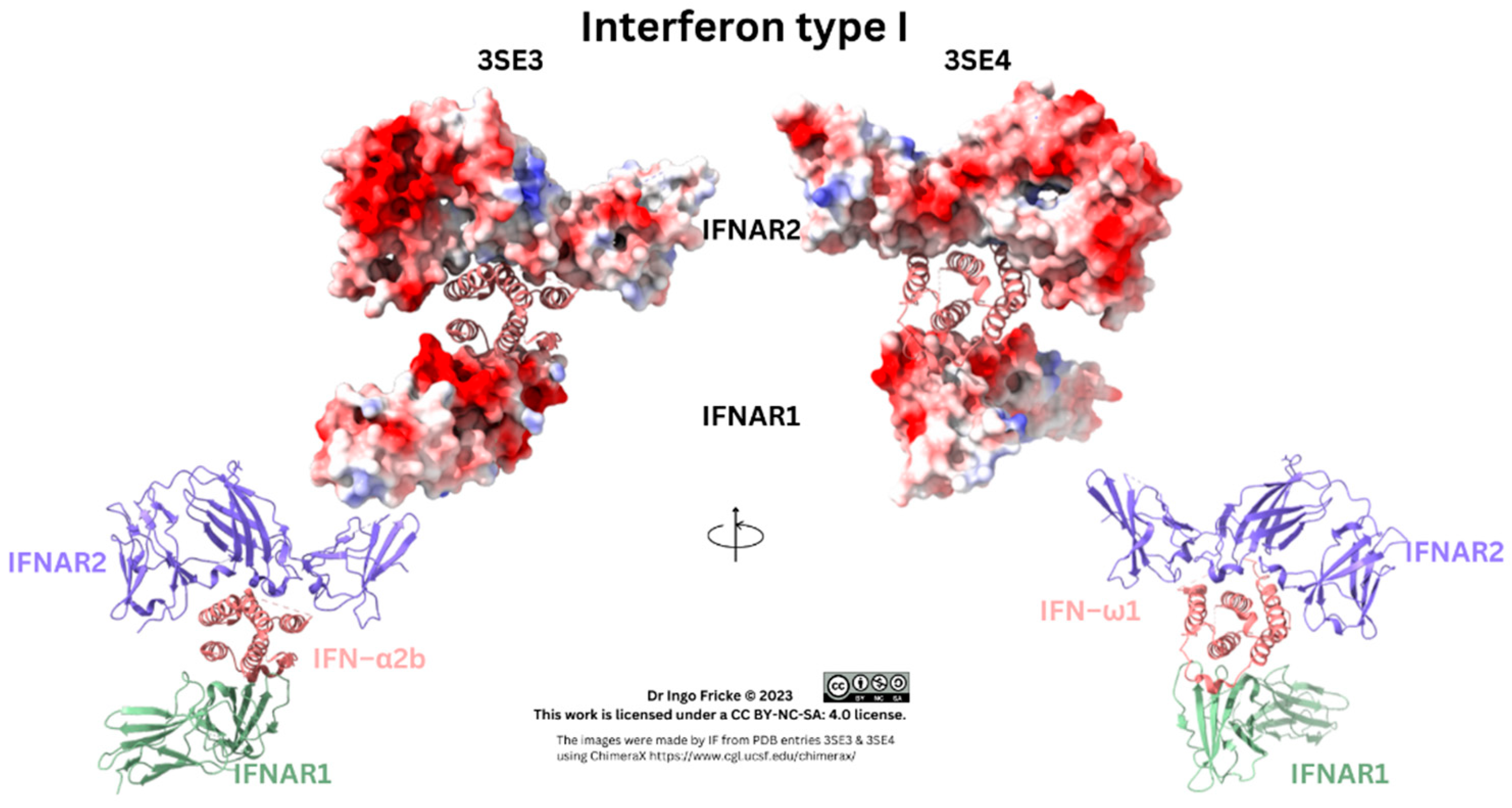 Preprints 85978 g001