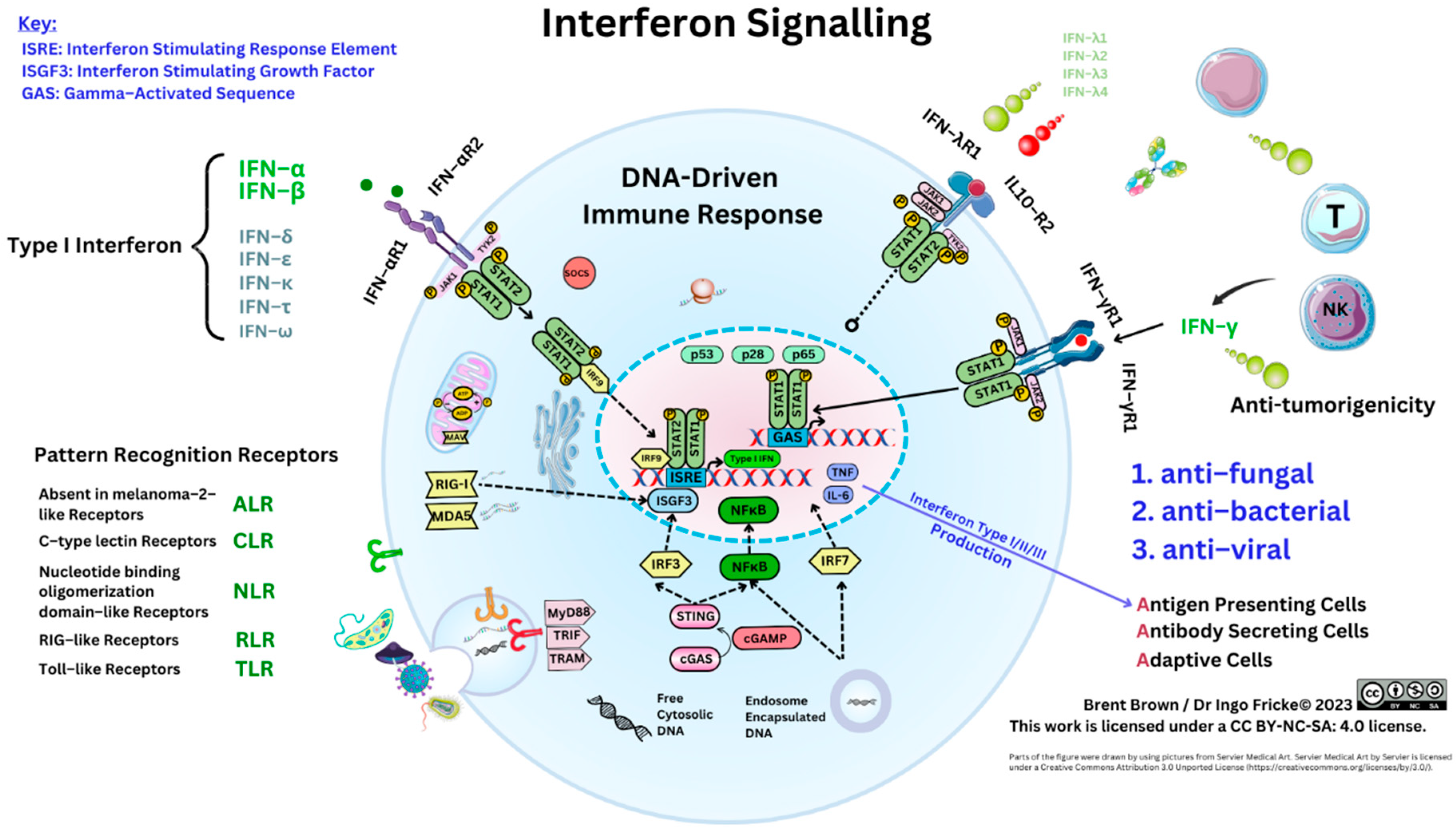 Preprints 85978 g002