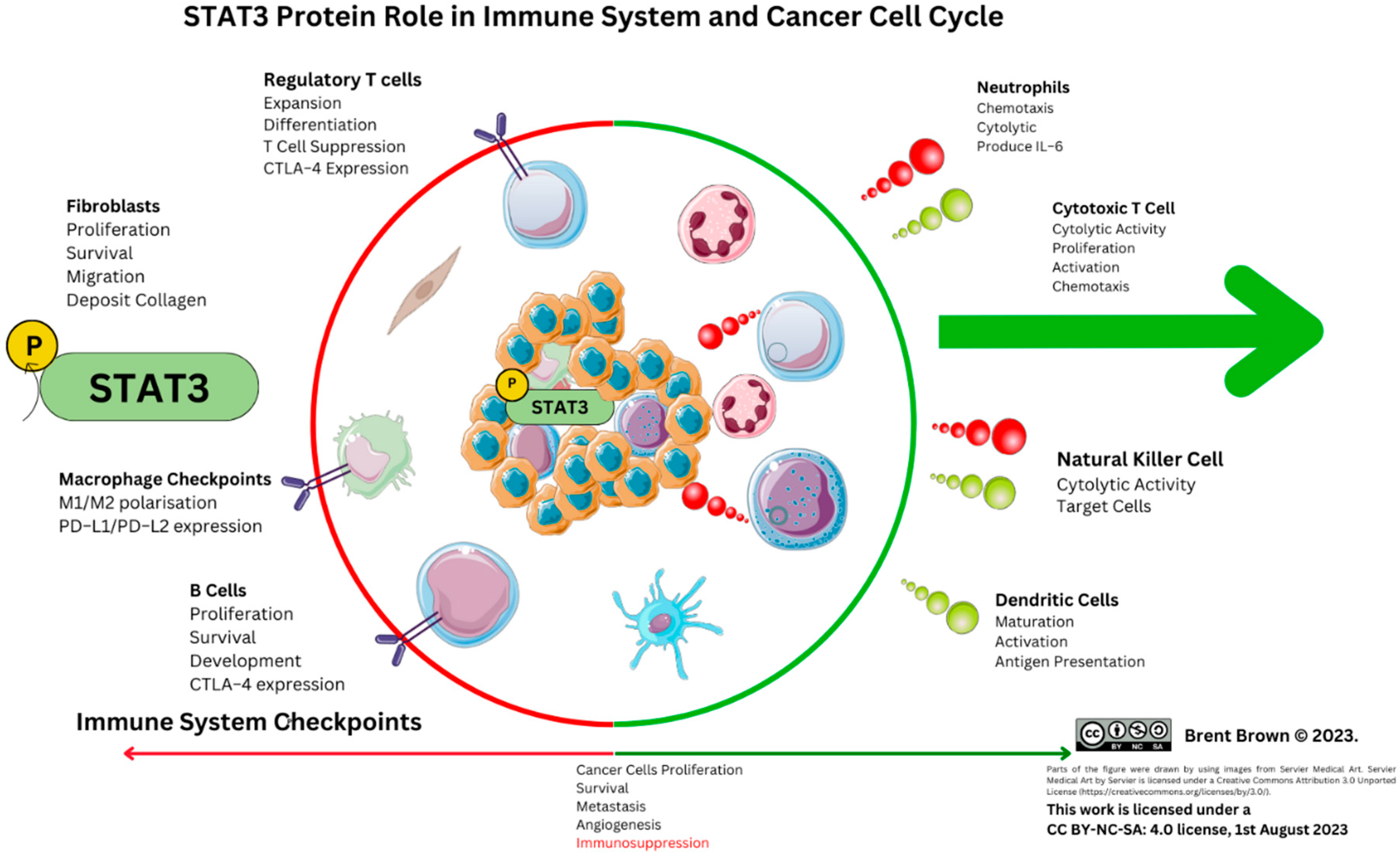 Preprints 85978 g003