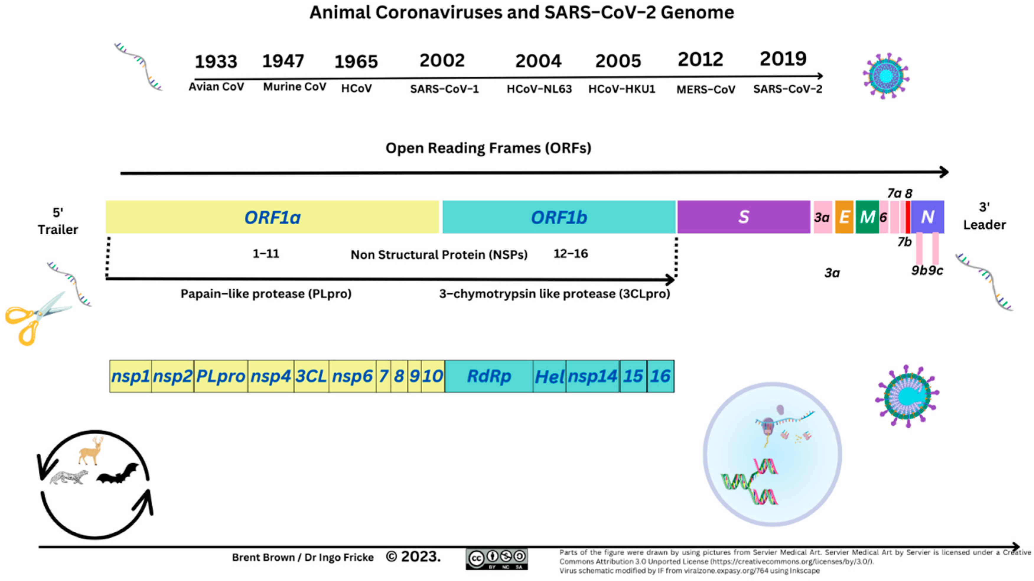 Preprints 85978 g006