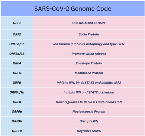 Preprints 85978 i001