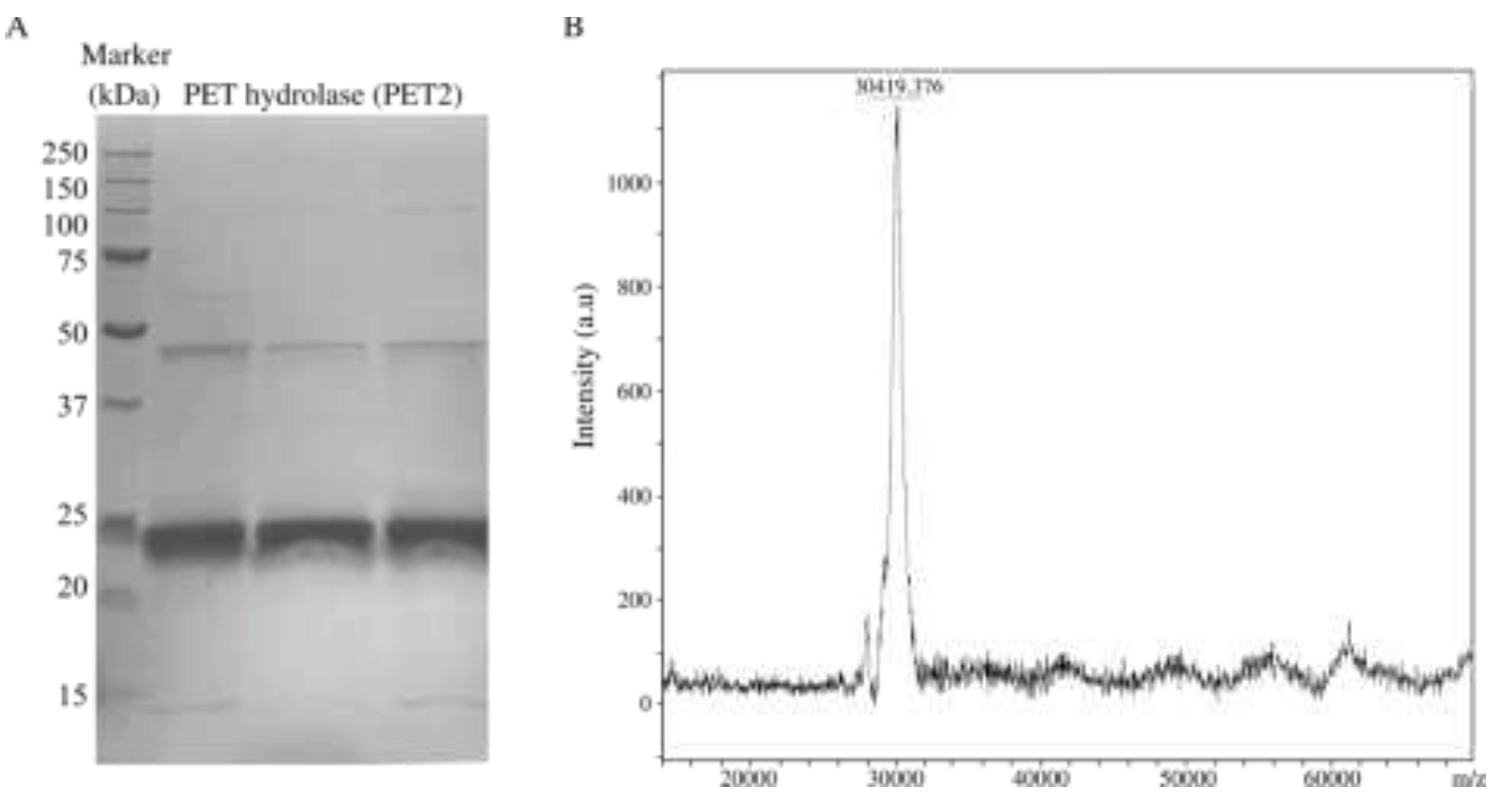 Preprints 77812 g002