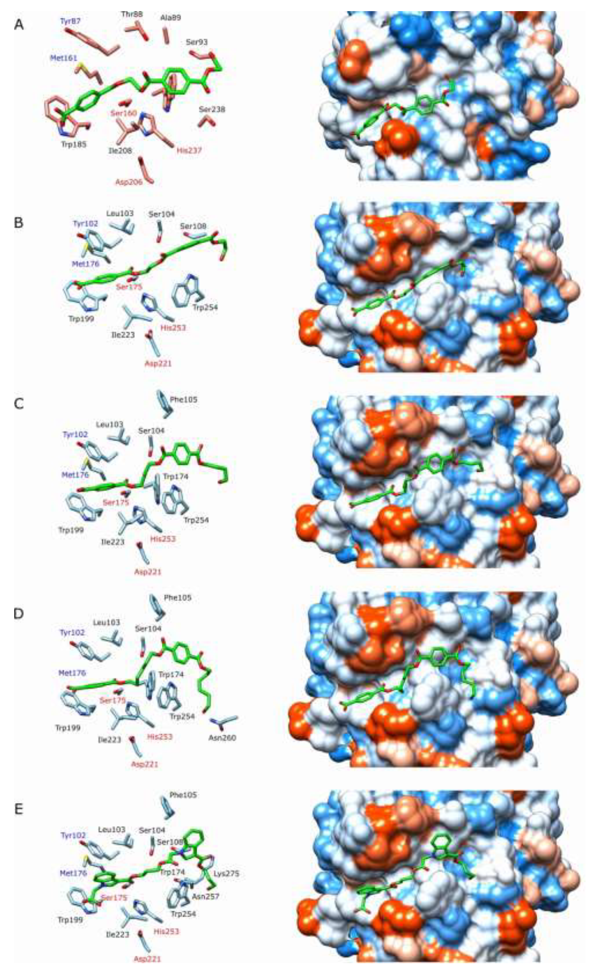 Preprints 77812 g007