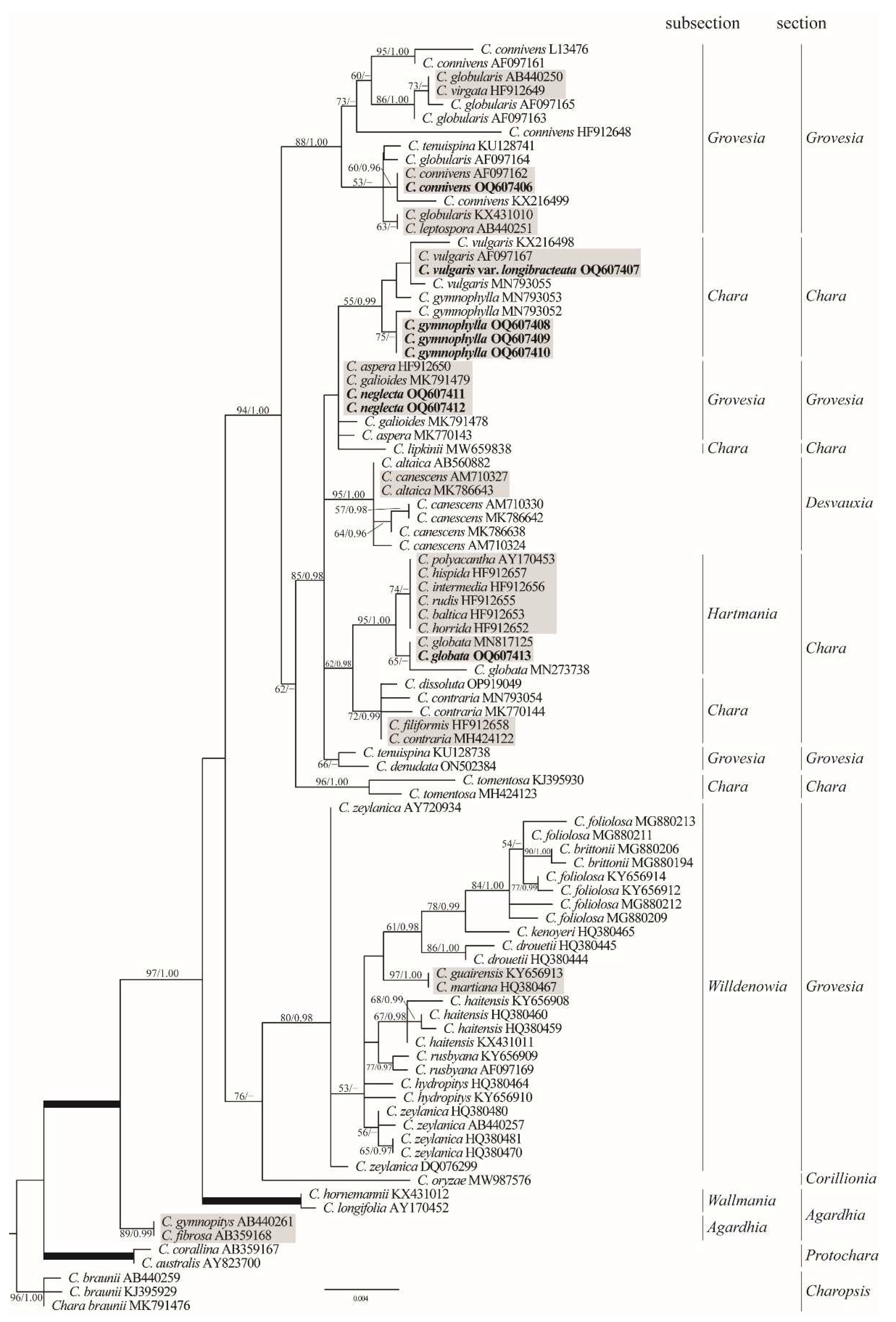 Preprints 79675 g006