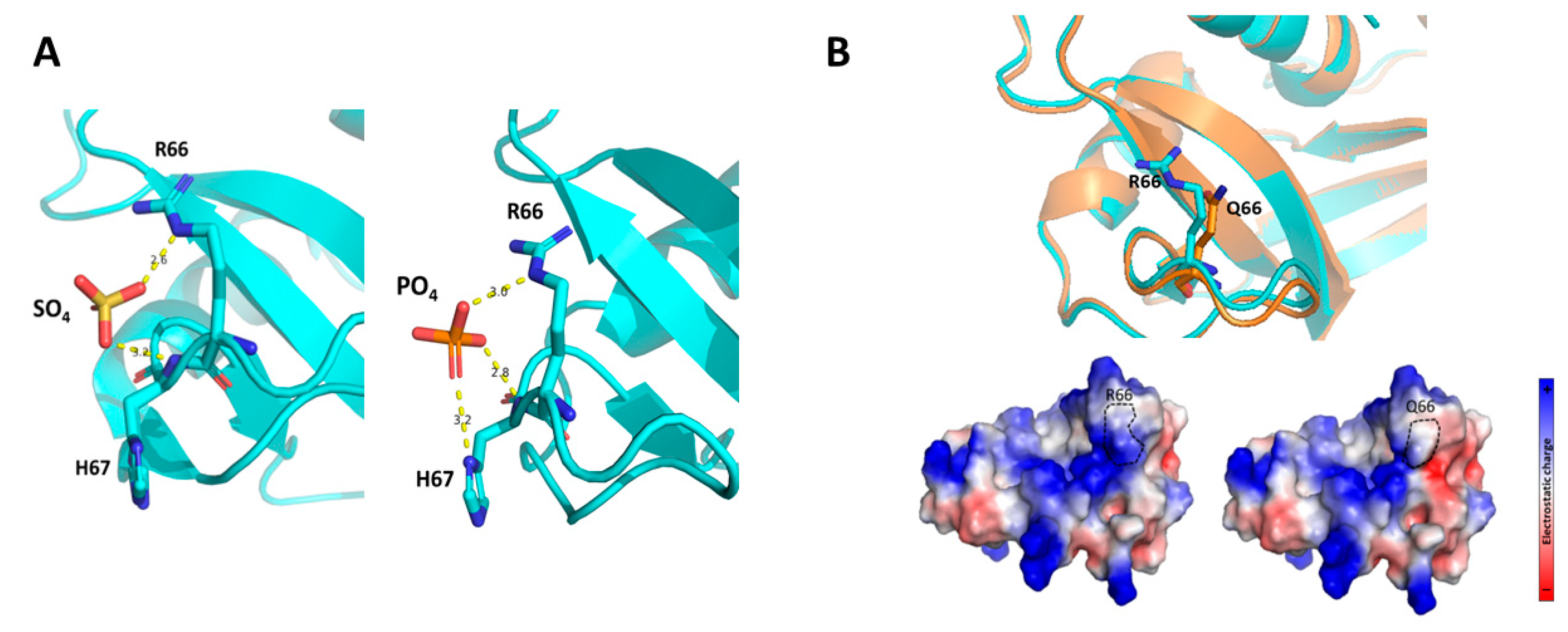 Preprints 90024 g003