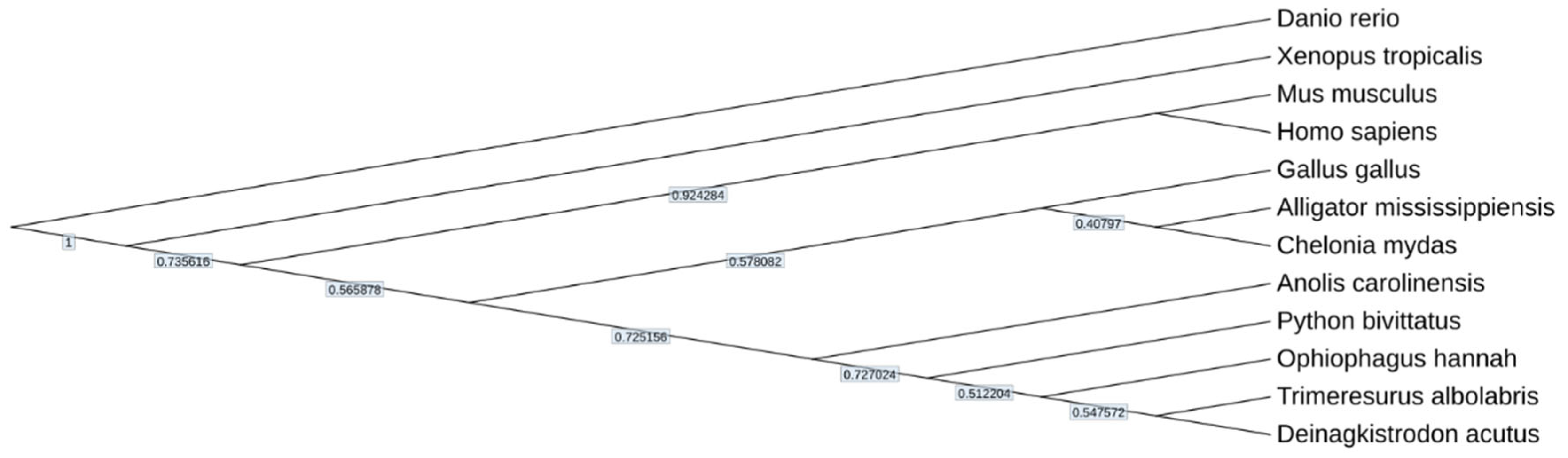 Preprints 97048 g006