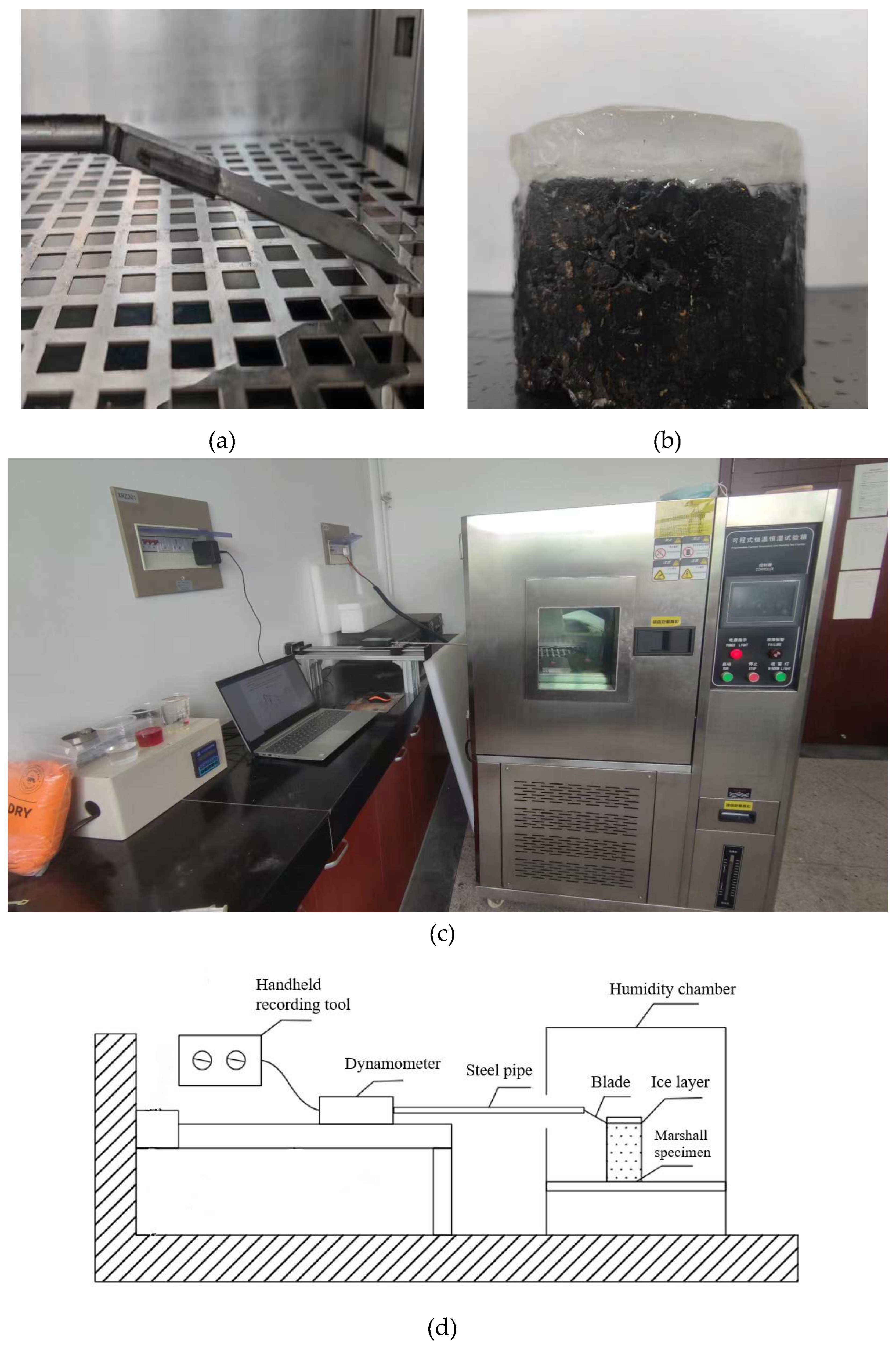 Preprints 85059 g002