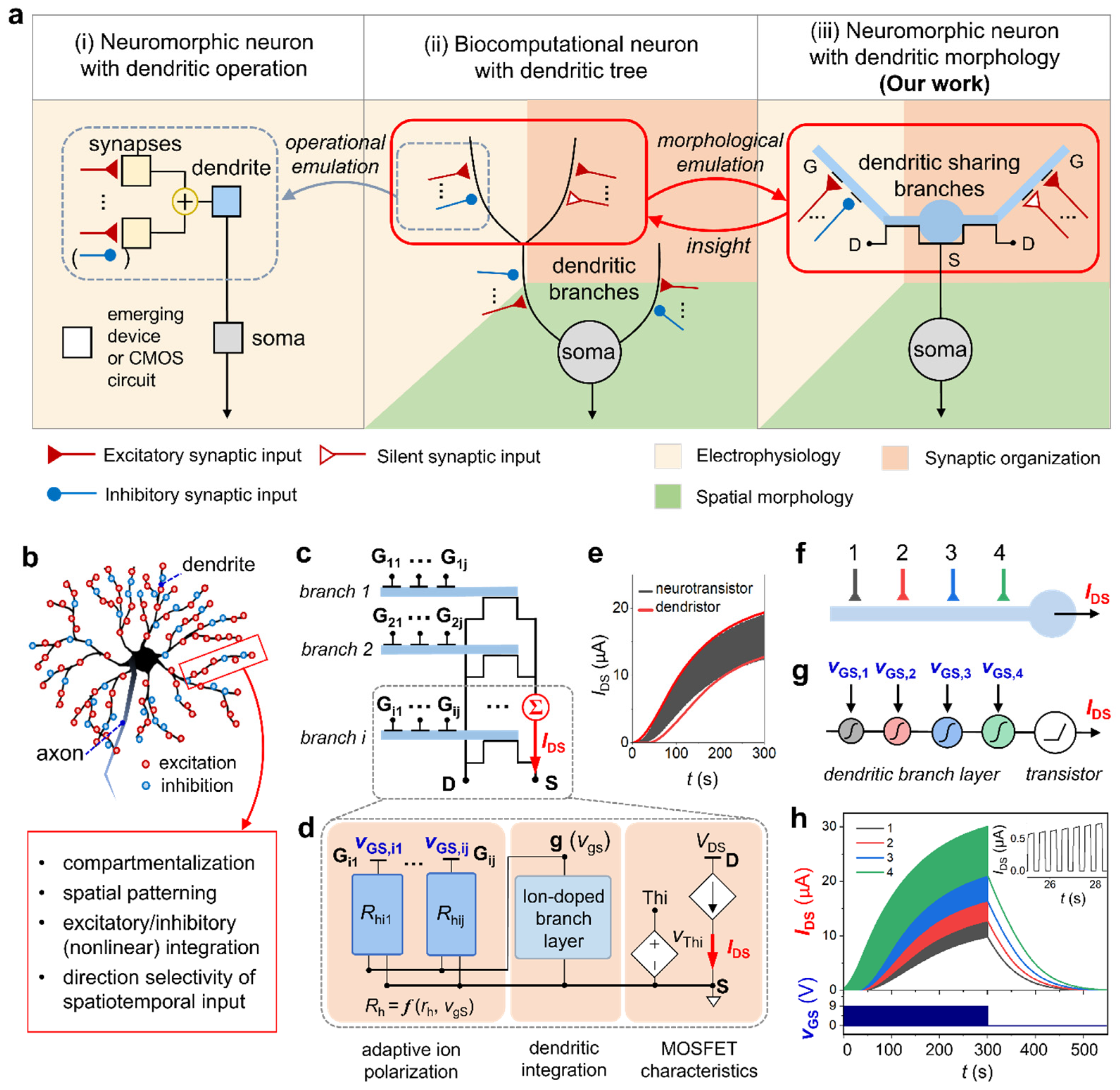 Preprints 75693 g001