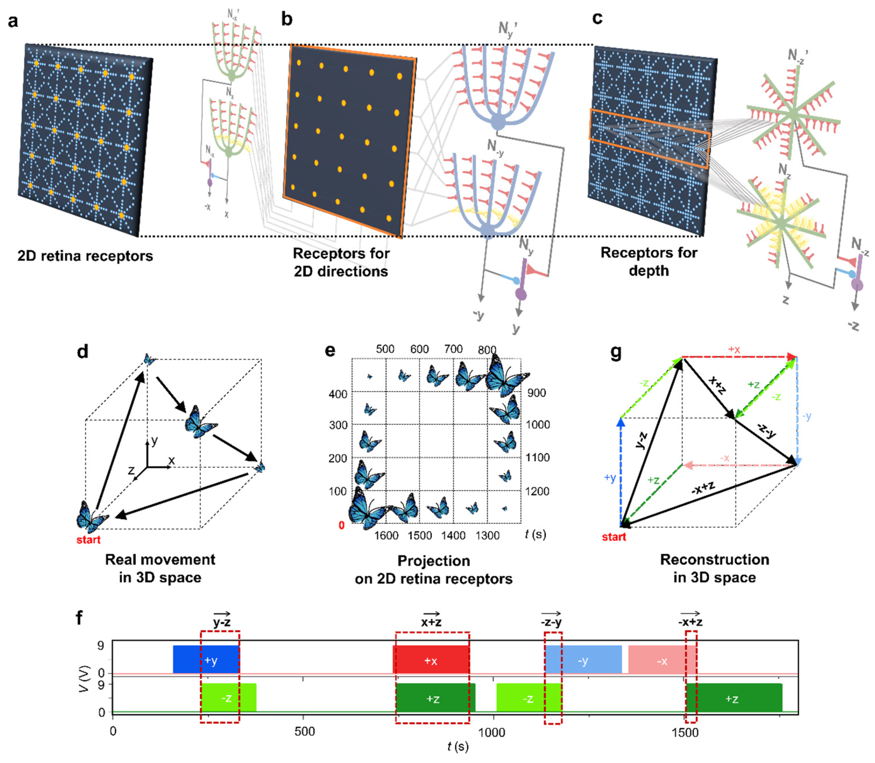 Preprints 75693 g005