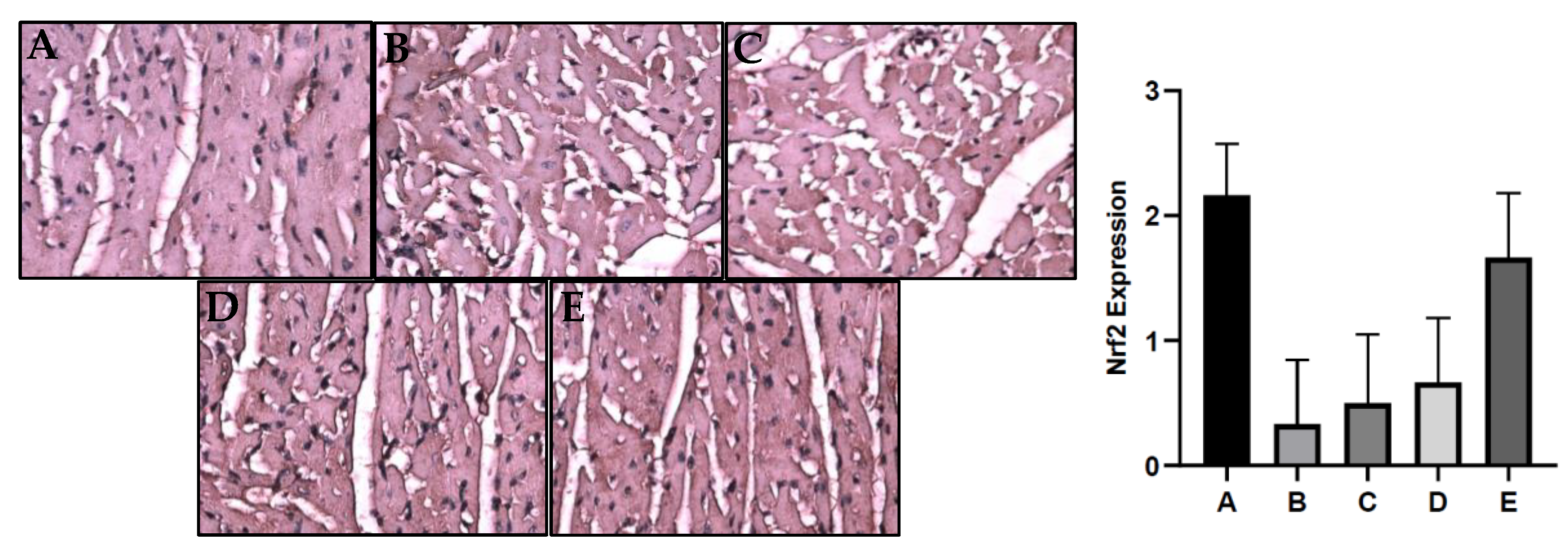 Preprints 73019 g003