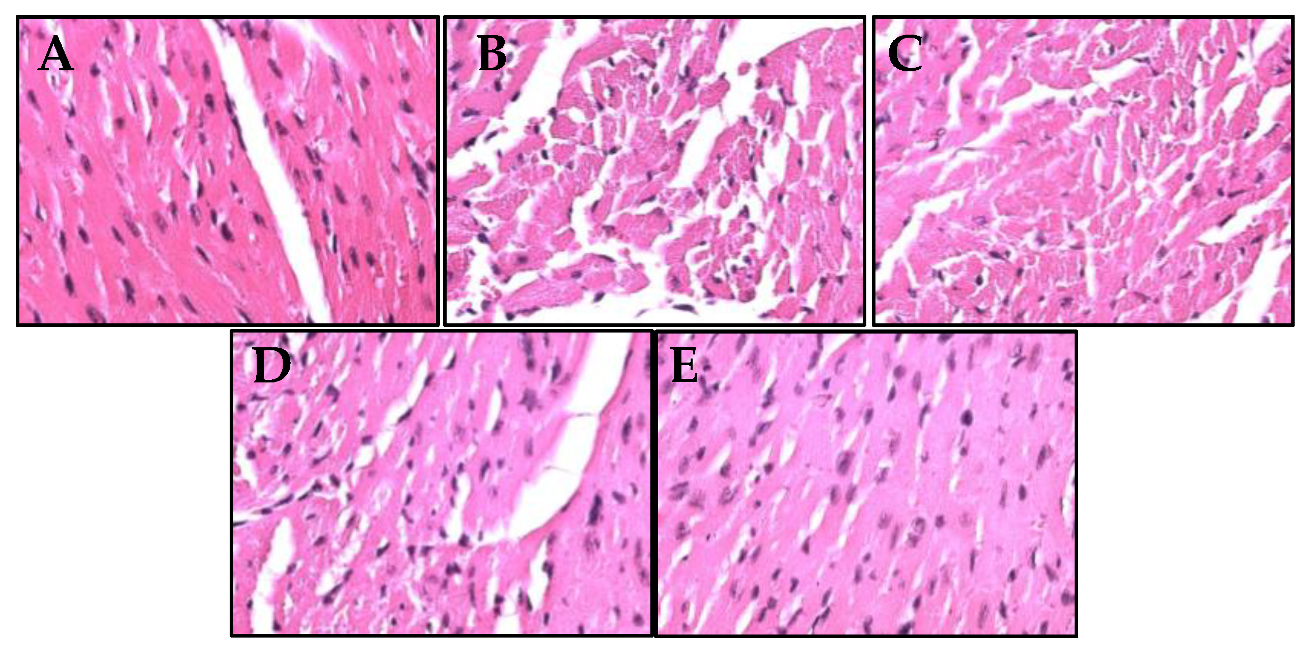 Preprints 73019 g004