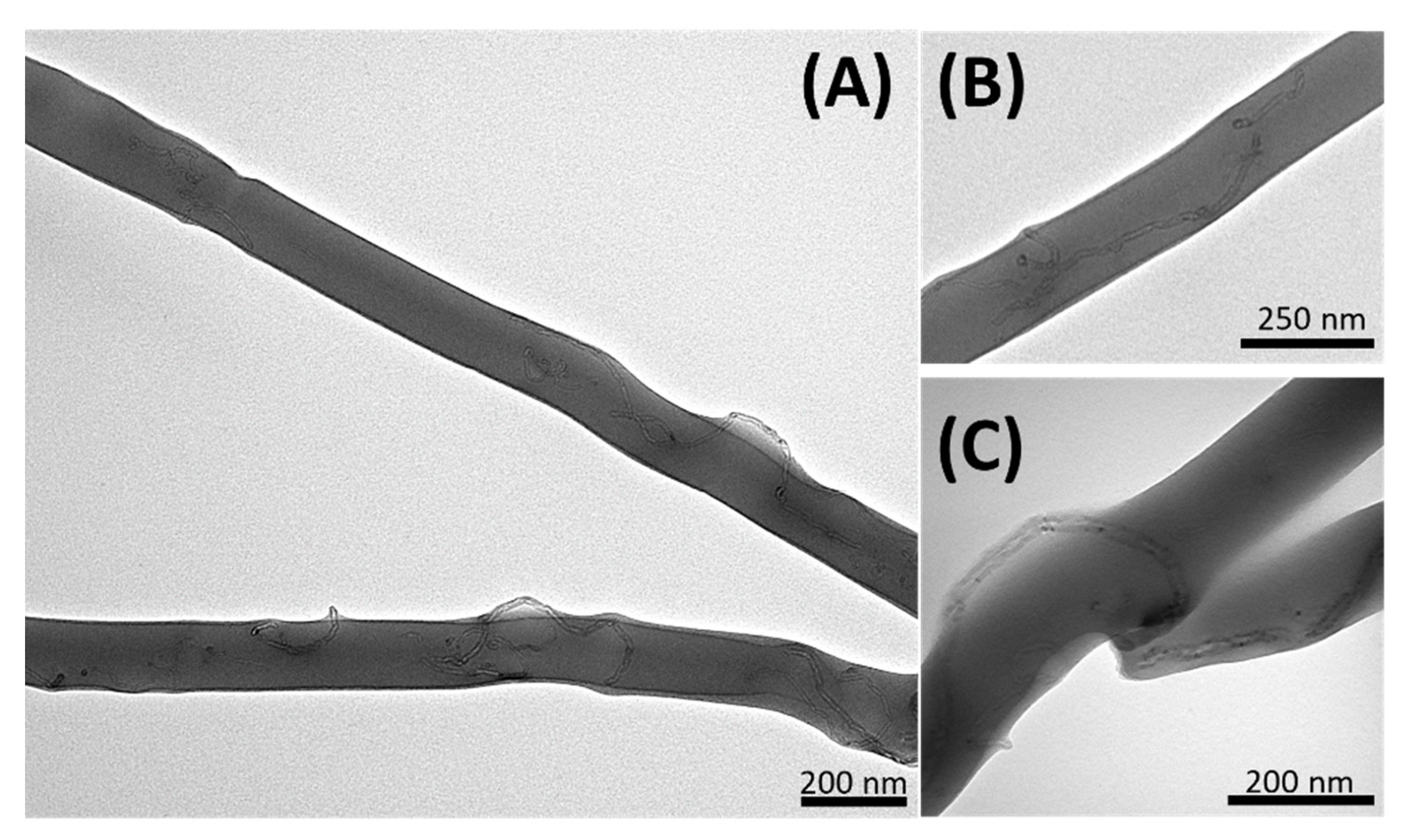 Preprints 107410 g004