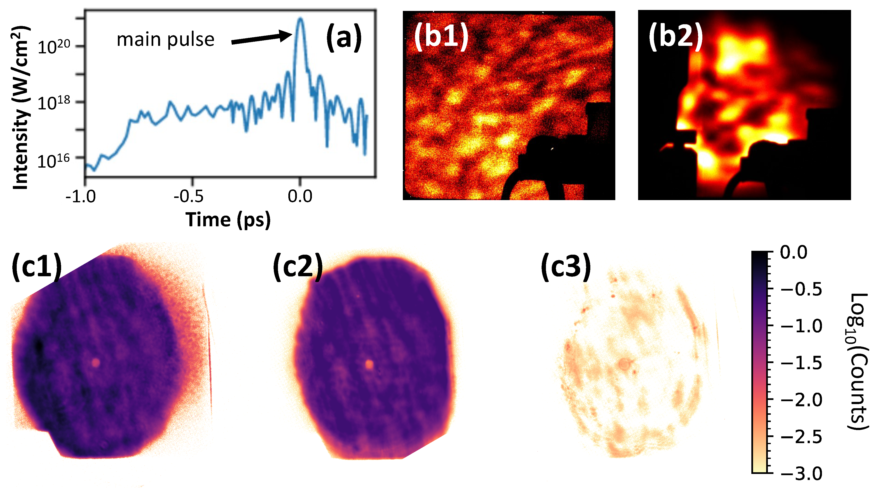 Preprints 107558 g003