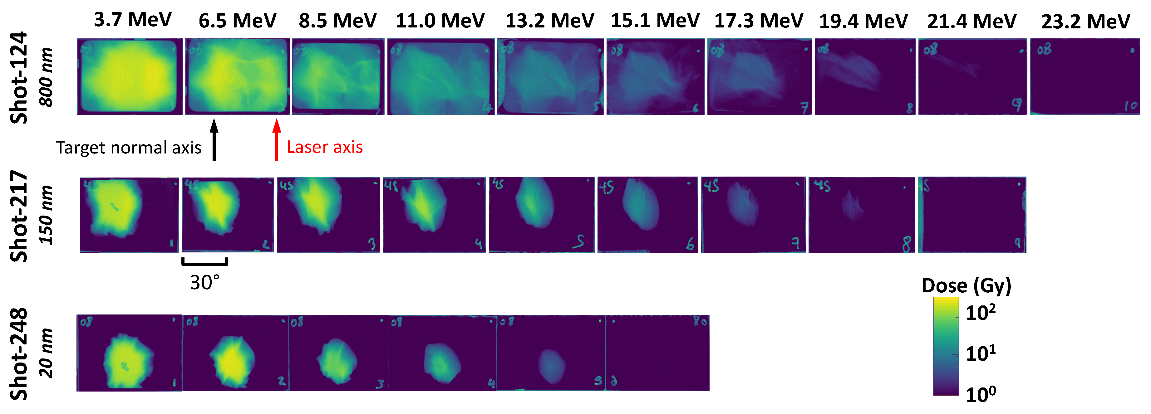 Preprints 107558 g006