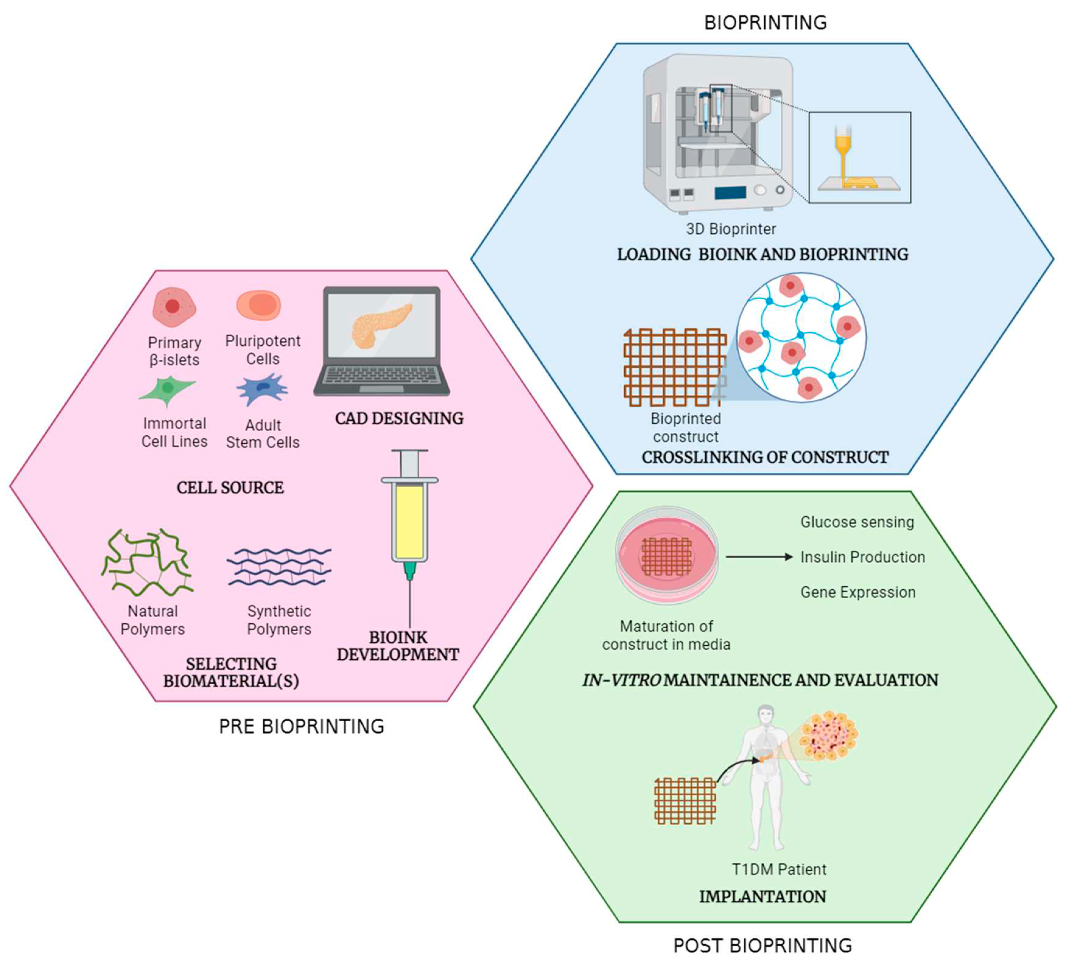 Preprints 86695 g003