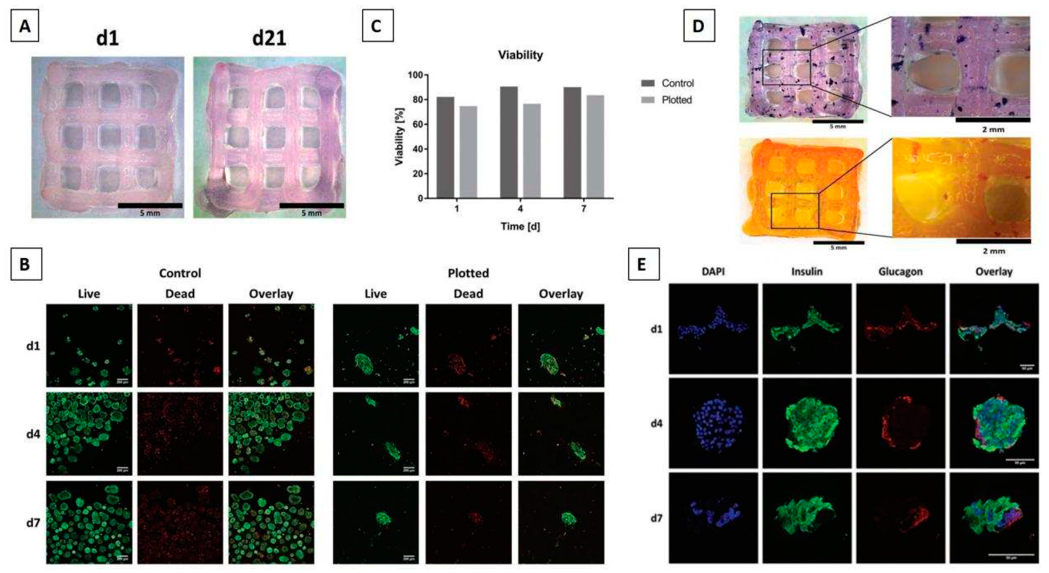 Preprints 86695 g004