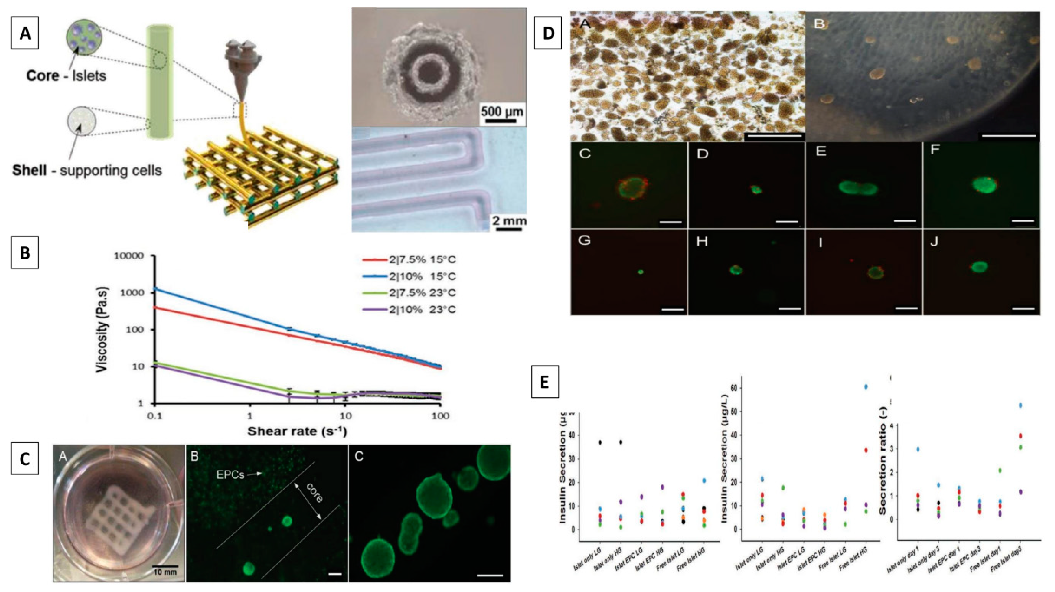 Preprints 86695 g005