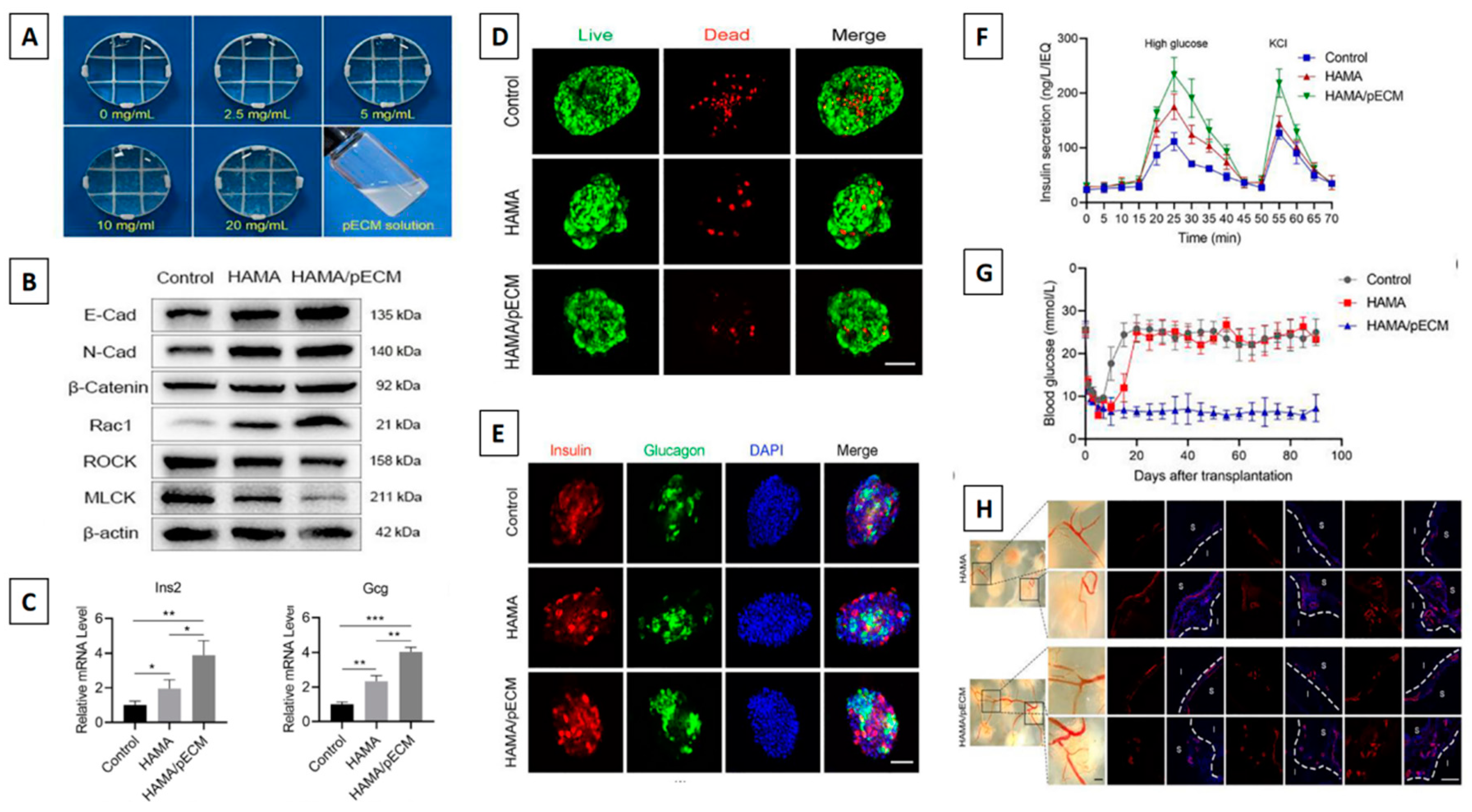 Preprints 86695 g006