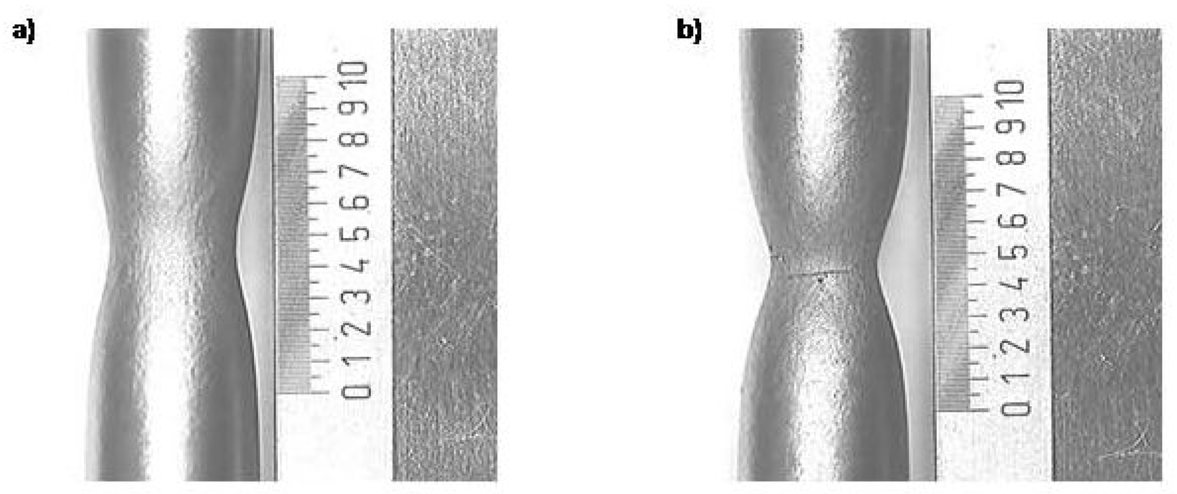 Preprints 107290 g003