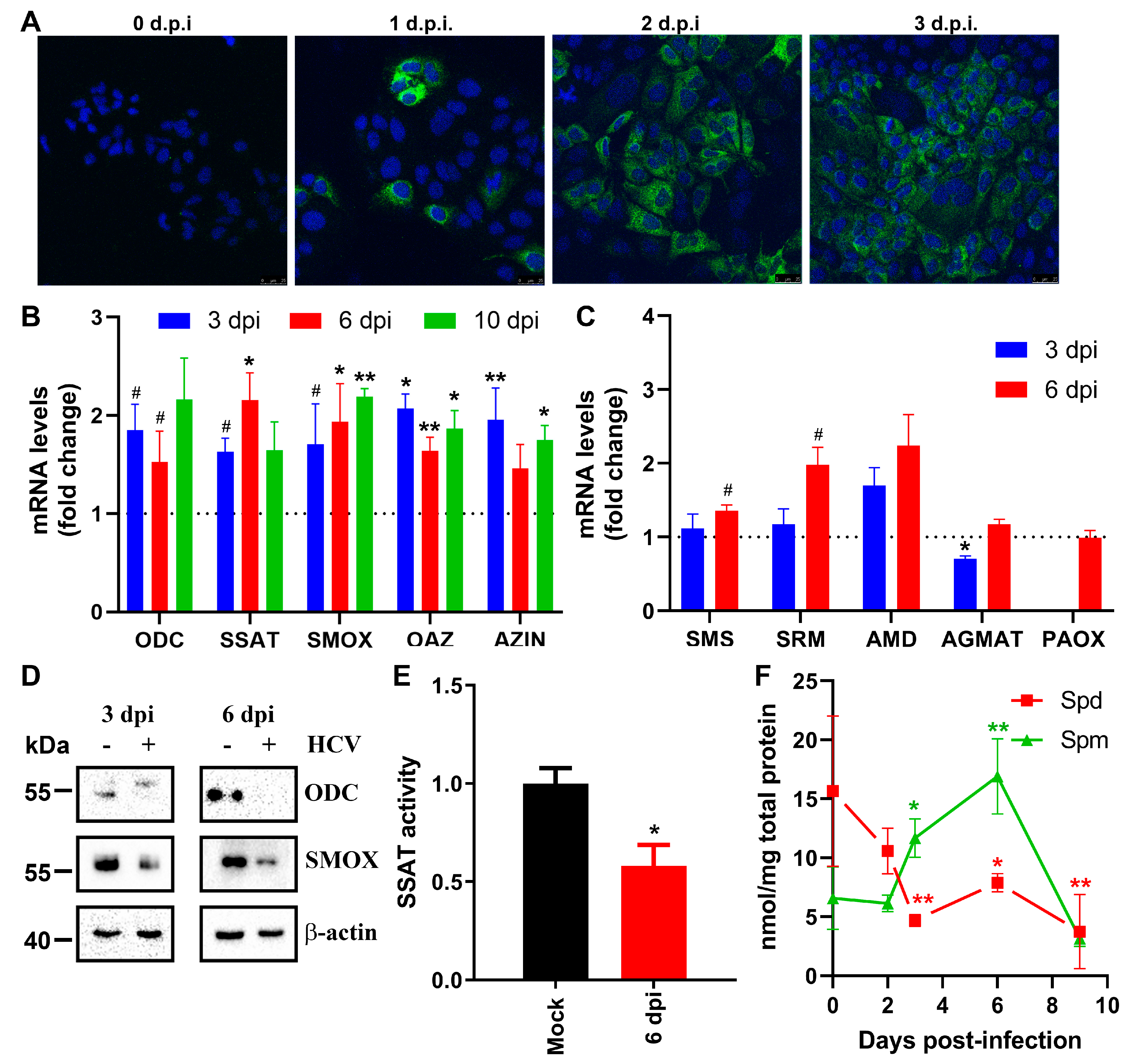 Preprints 105149 g001