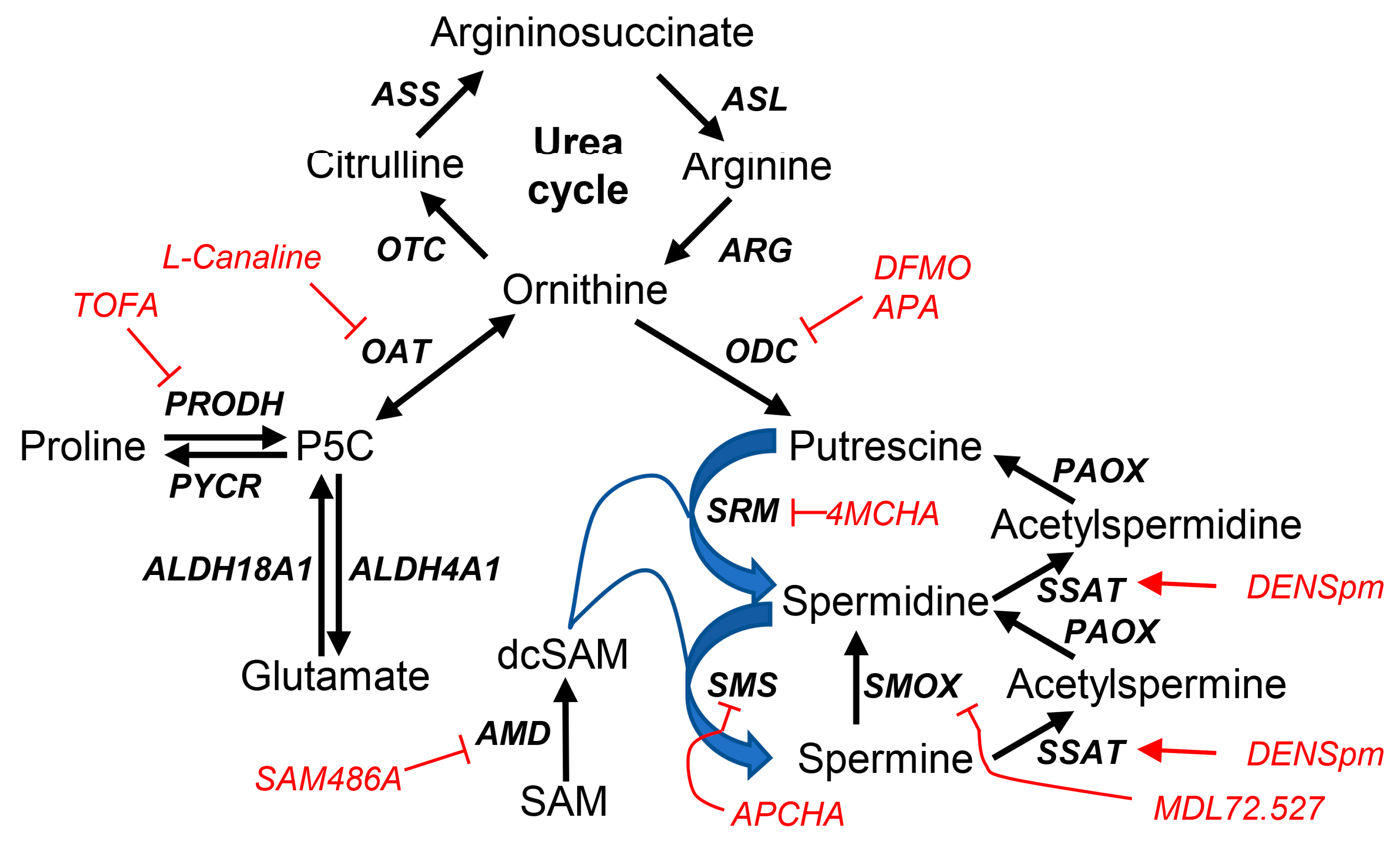 Preprints 105149 sch001