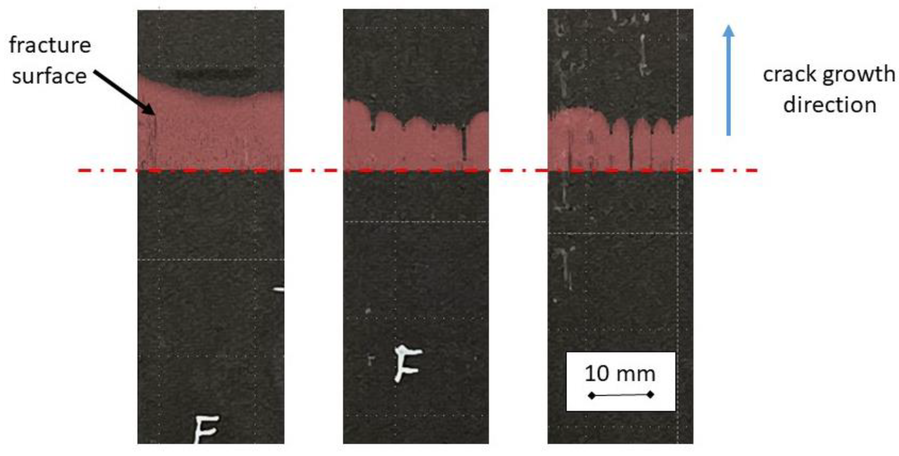 Preprints 104521 g006