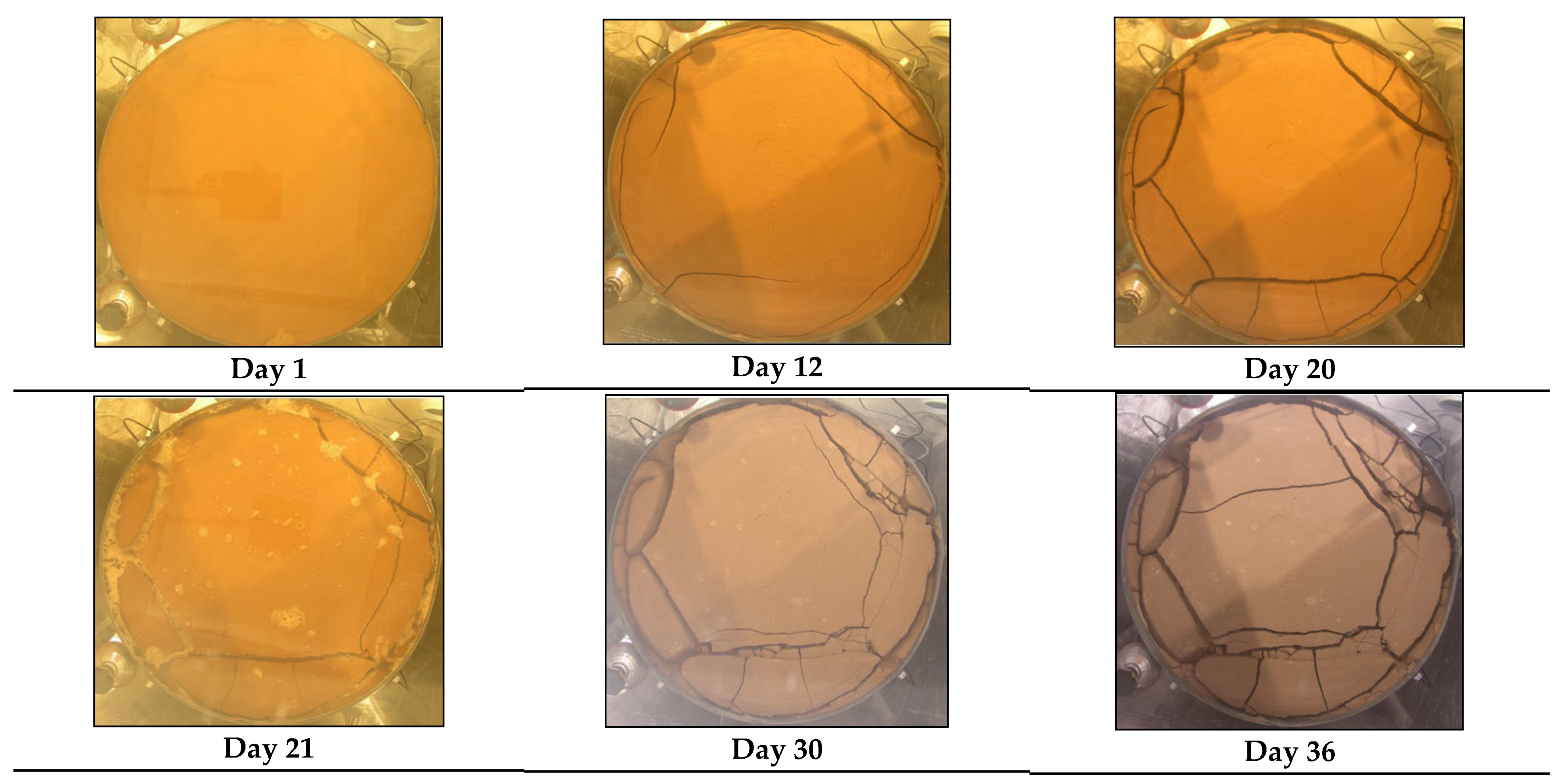 Preprints 76007 g001