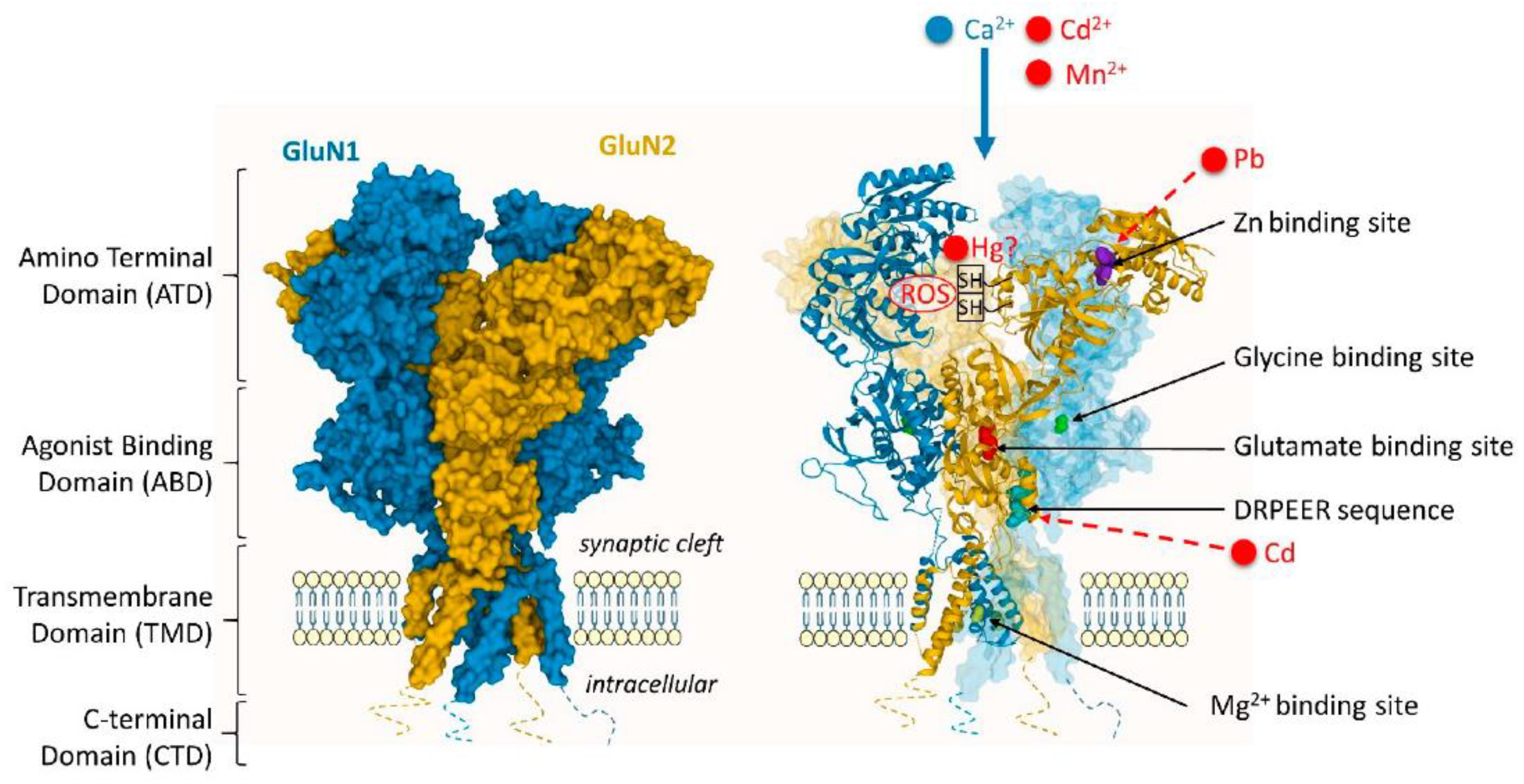 Preprints 121452 g008