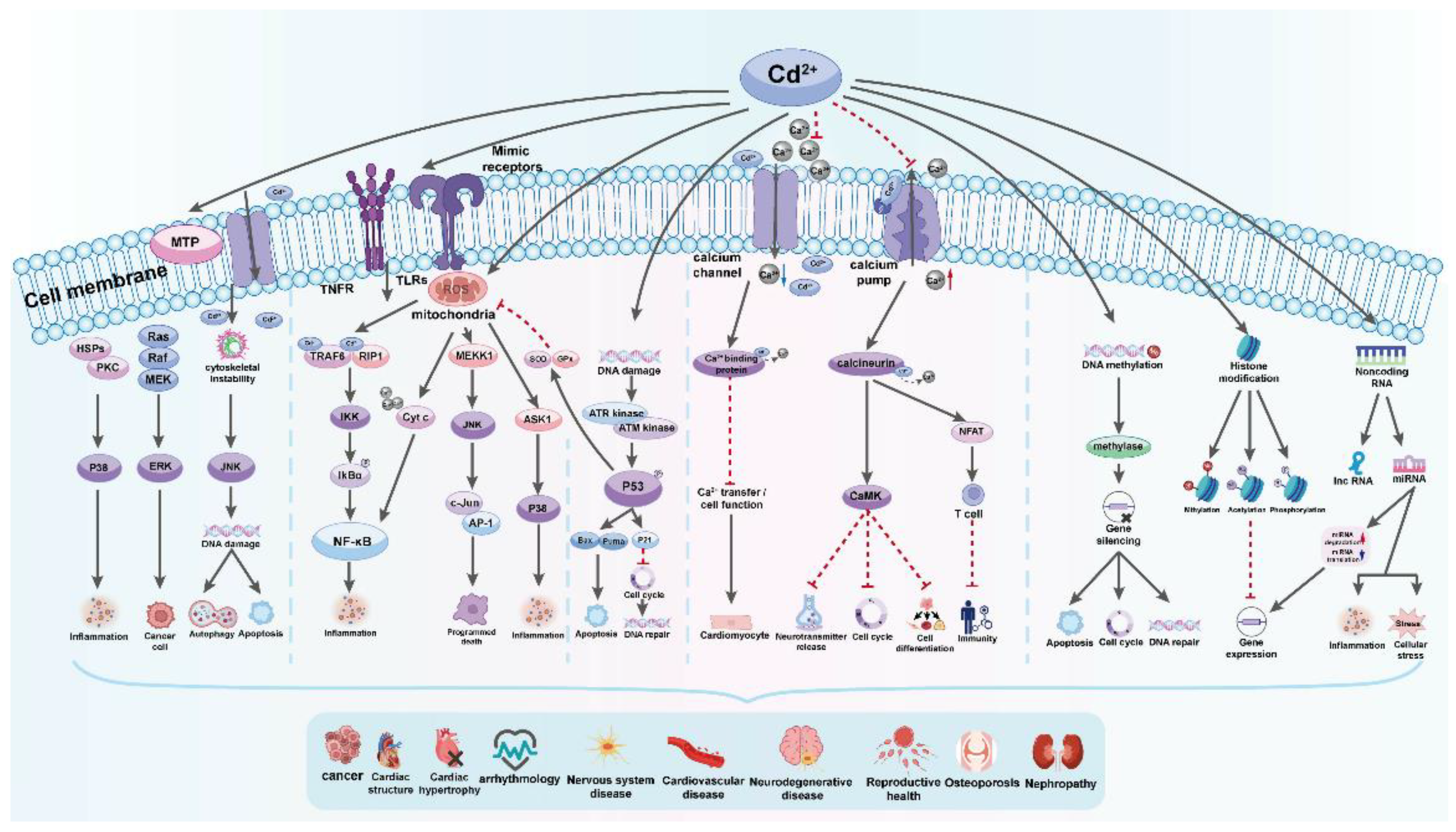 Preprints 121452 g009