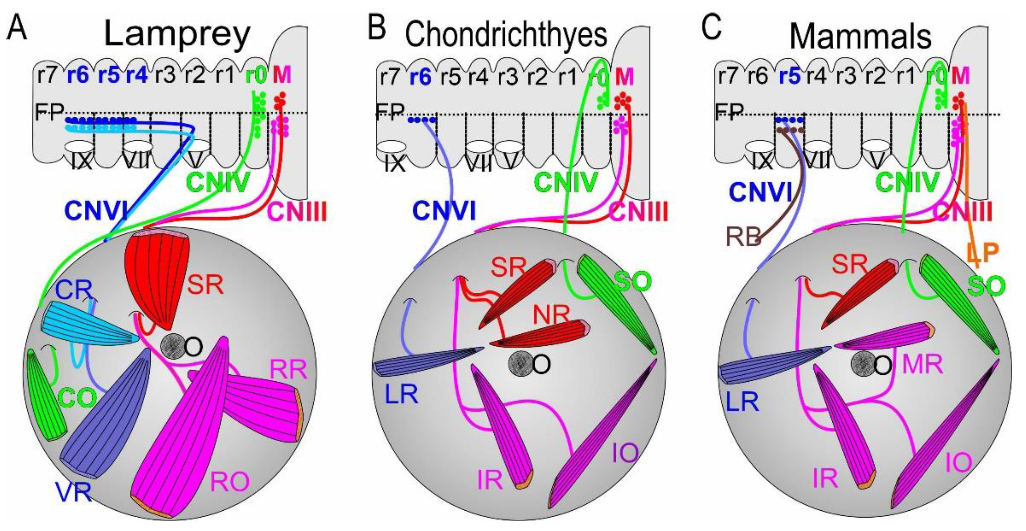 Preprints 75722 g001