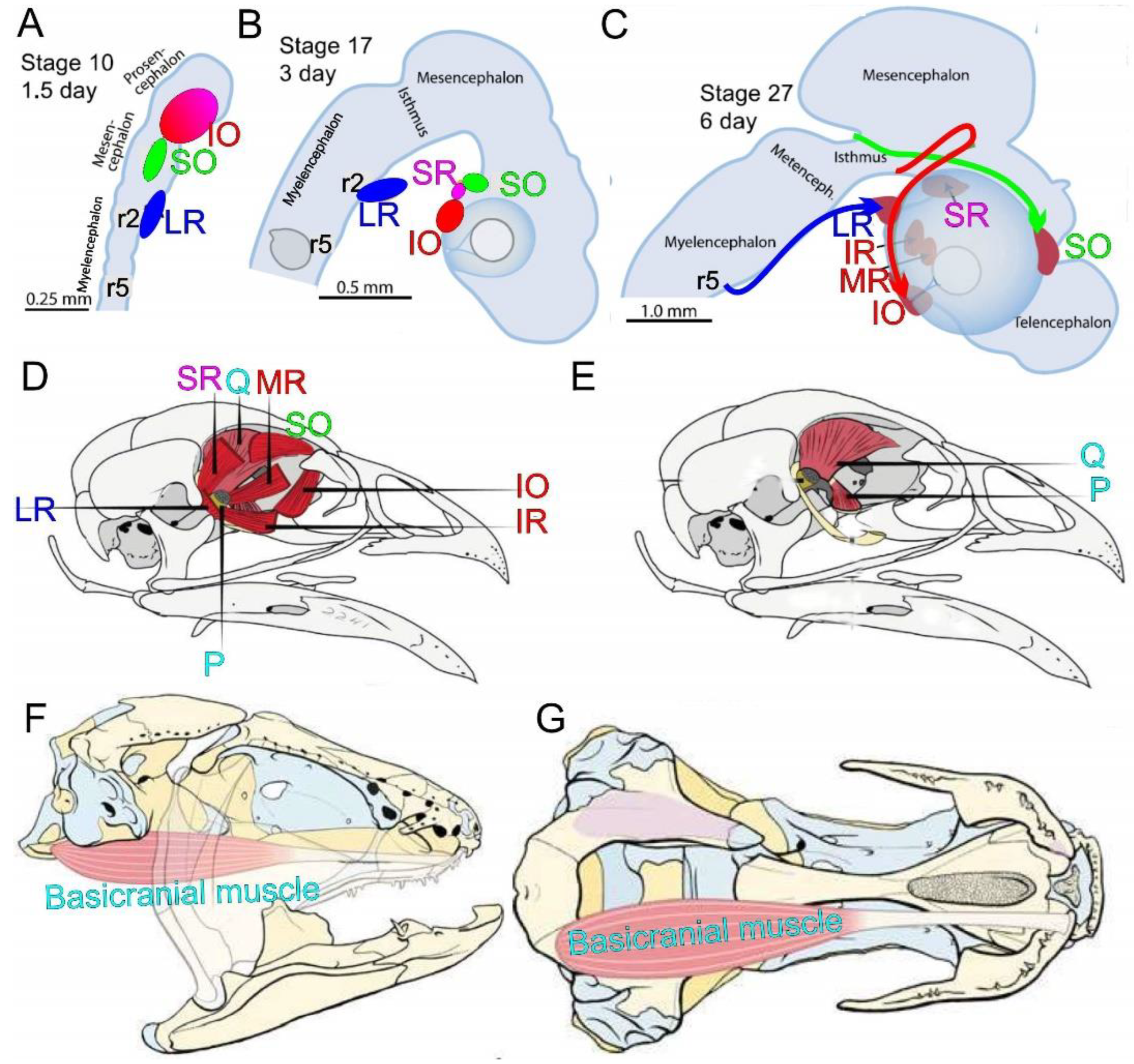 Preprints 75722 g002