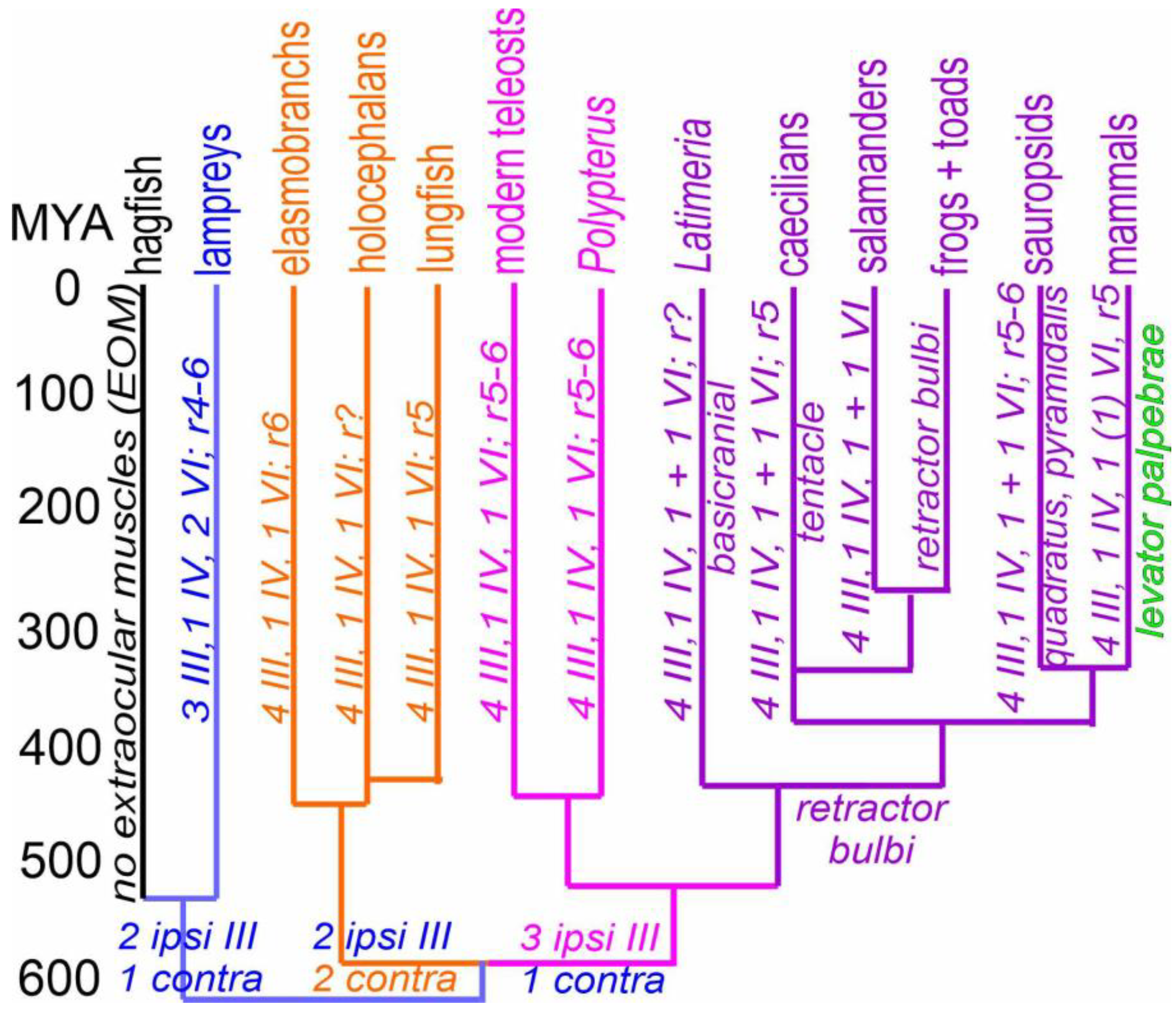 Preprints 75722 g003